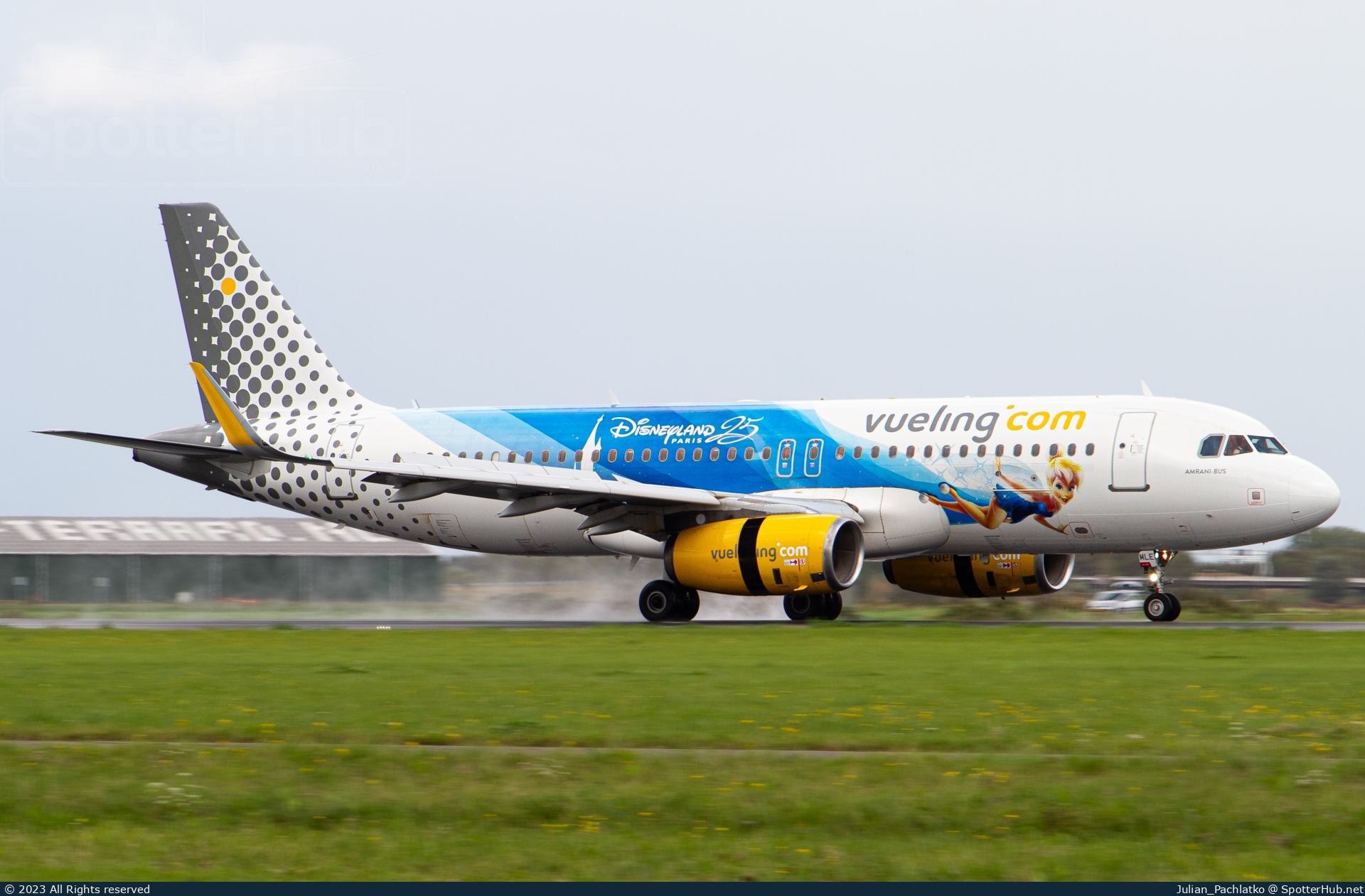 Photo of EC-MLE - Airbus A320-232 operated by Vueling