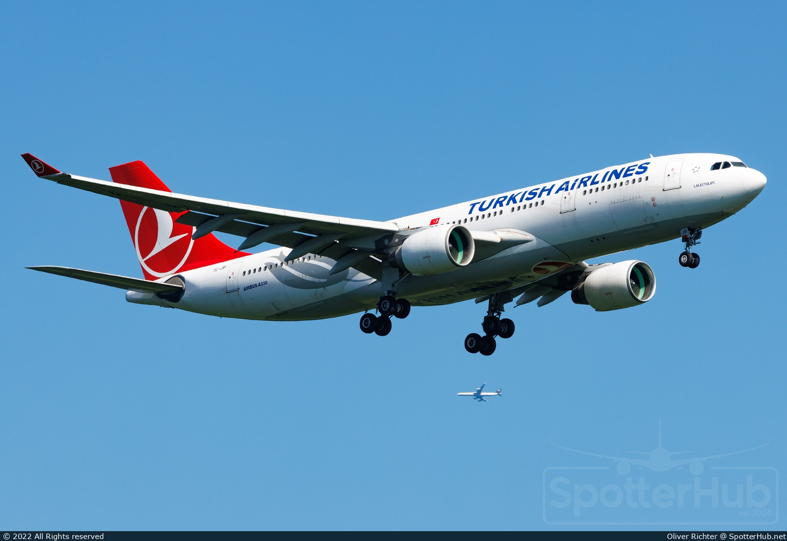 Photo of TC-JIP - Airbus A330-223 operated by Turkish Airlines