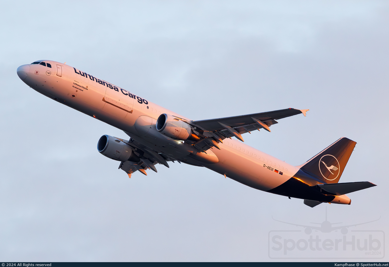 Full size image