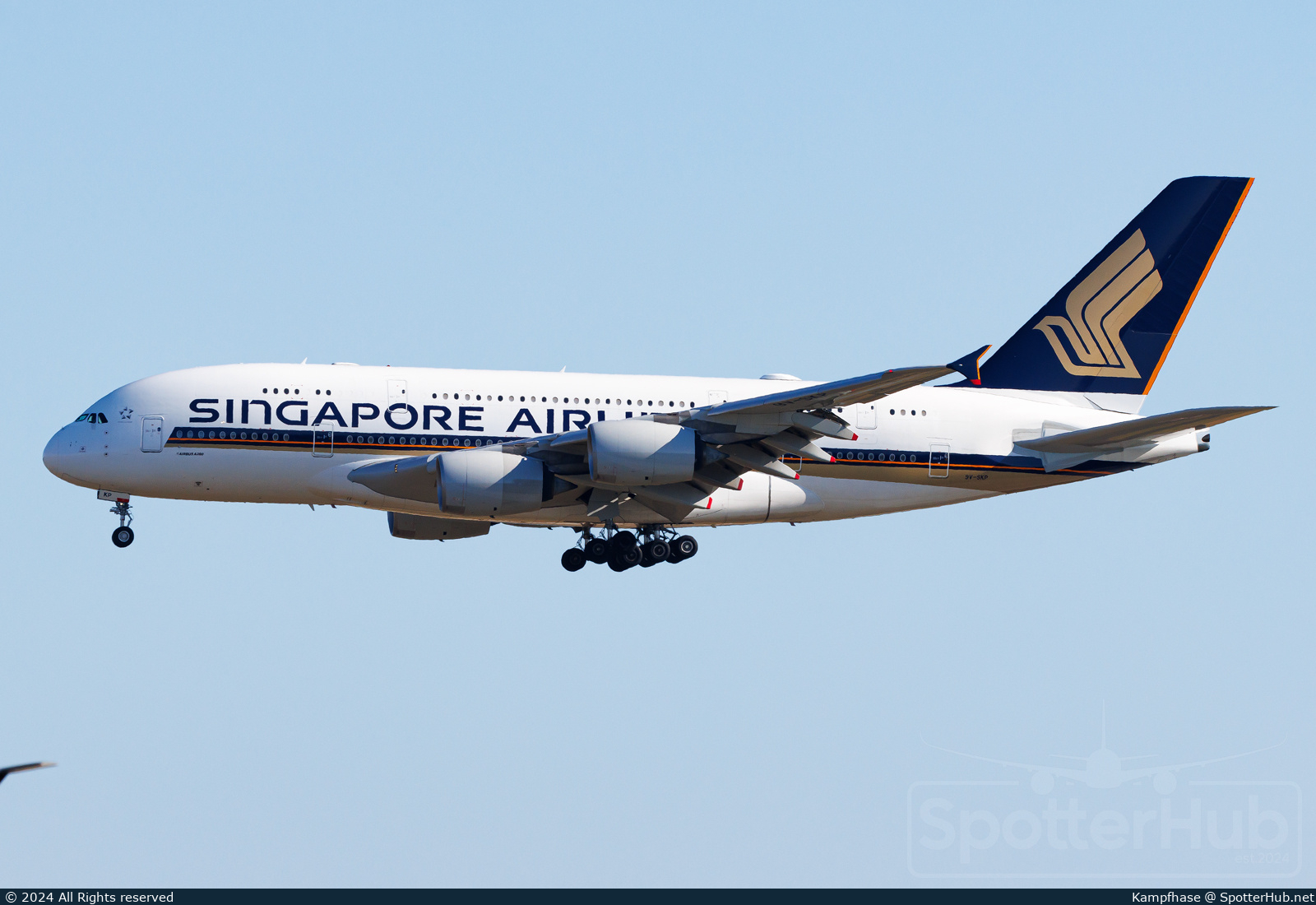 Full size image