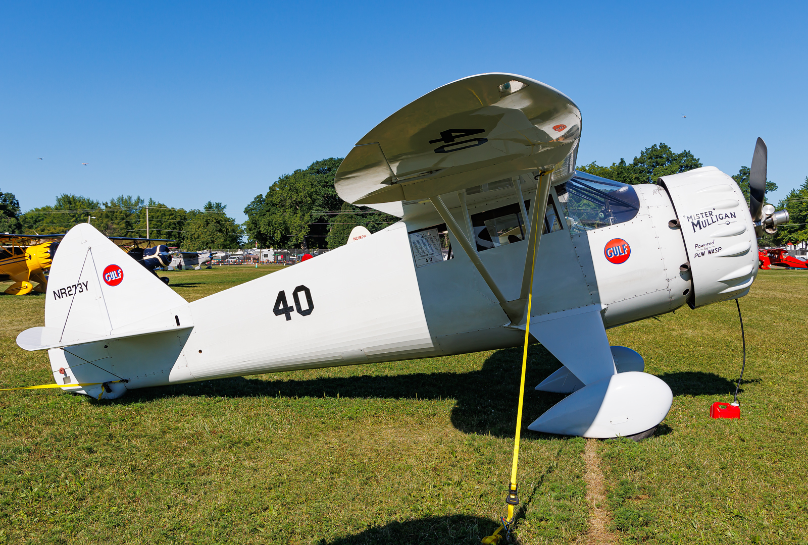 Full size image