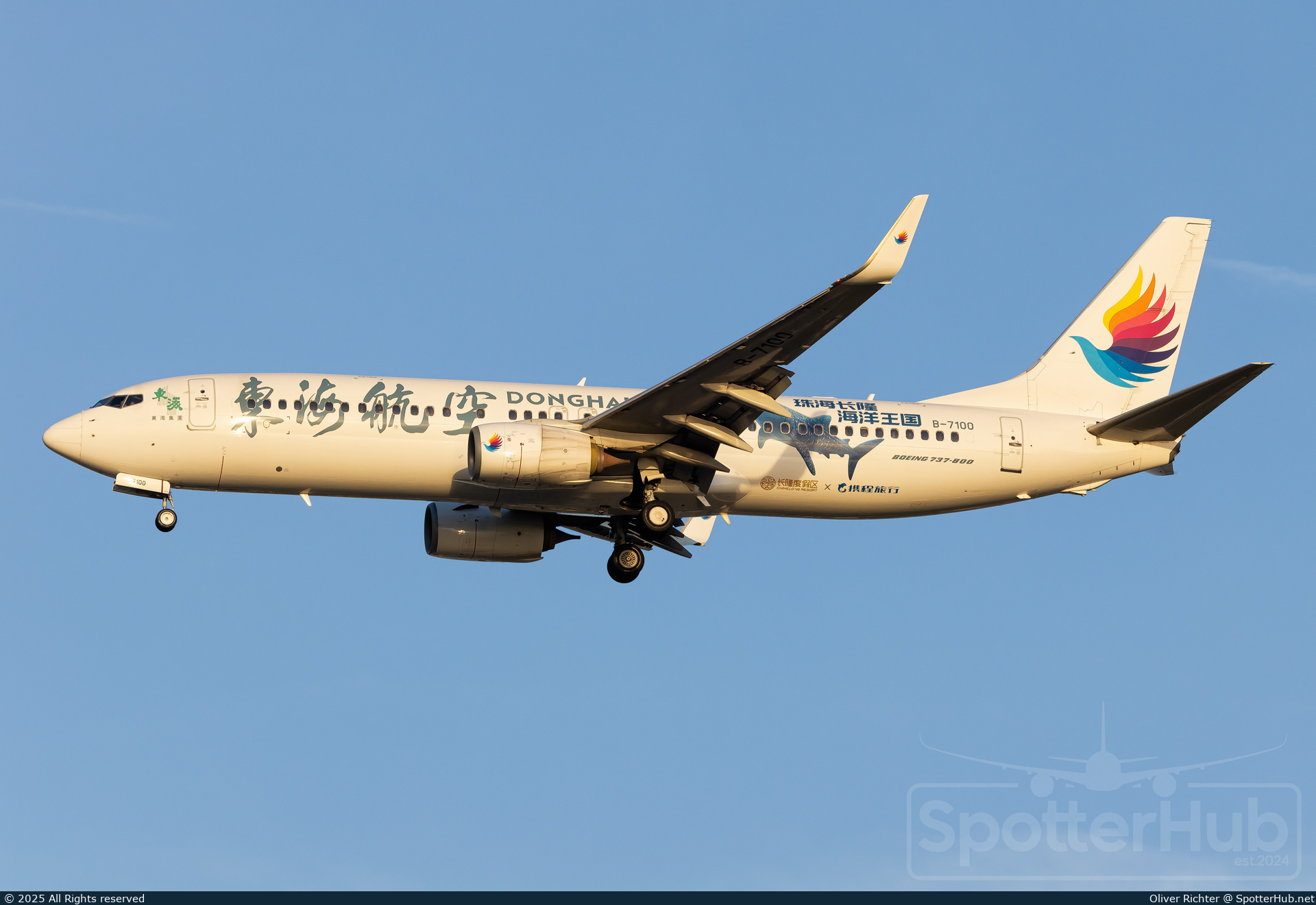 Photo of B-7100 - Boeing 737-8Q8 operated by Donghai Airlines