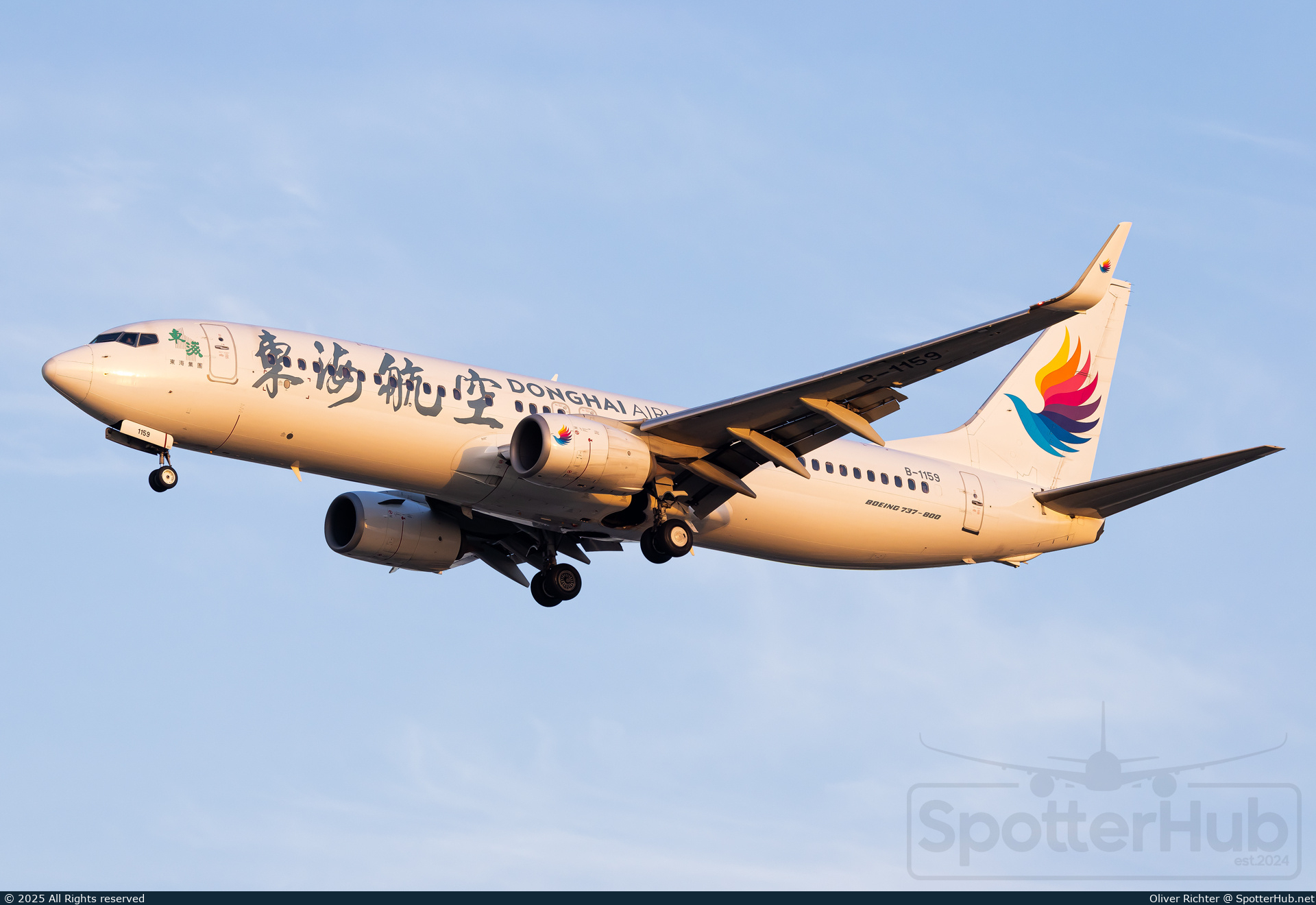 Photo of B-1159 - Boeing 737-83Z operated by Donghai Airlines