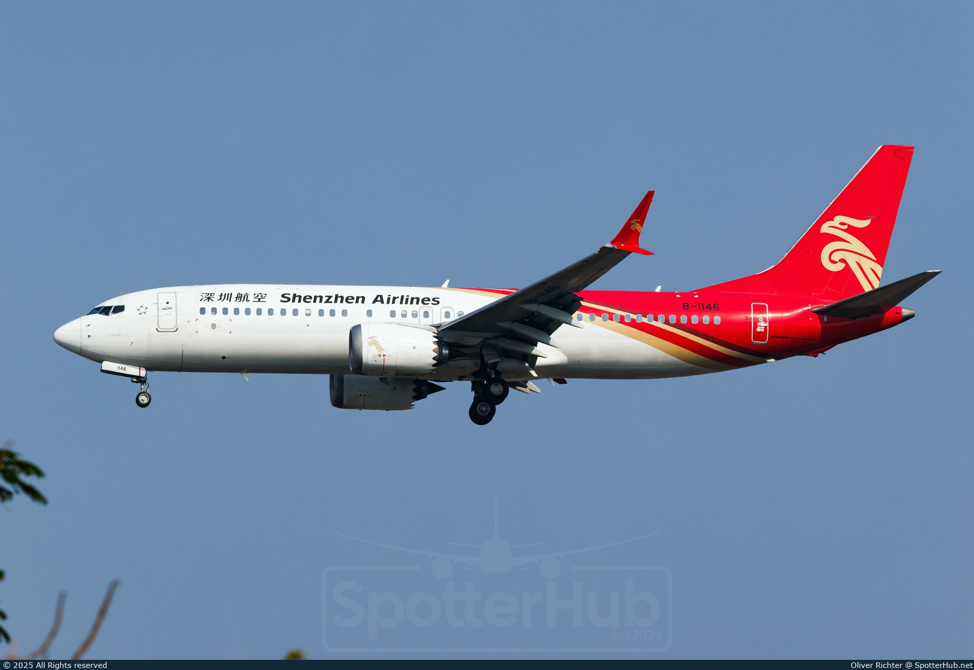 Photo of B-1146 - Boeing 737 MAX 8 operated by Shenzhen Airlines