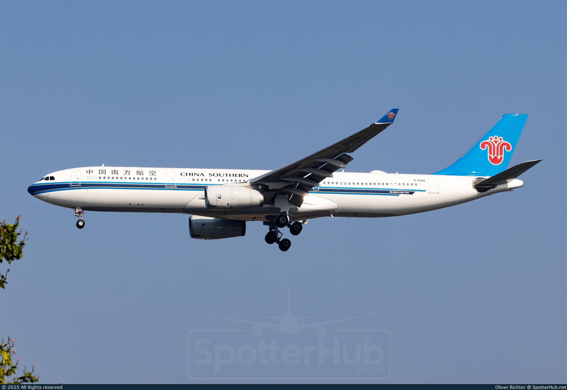 Photo of B-8366 - Airbus A330-343 operated by China Southern Airlines