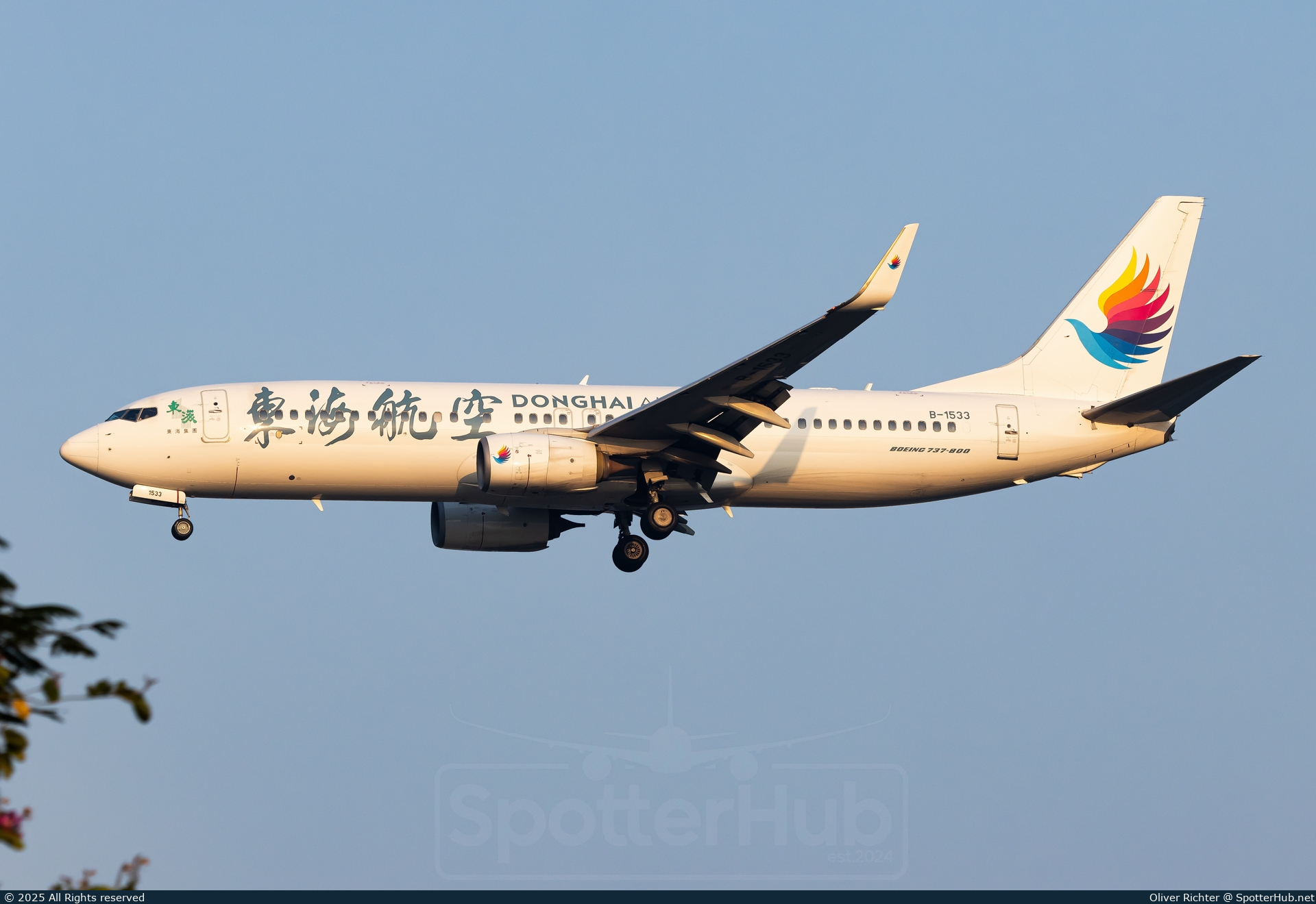 Photo of B-1533 - Boeing 737-83Z operated by Donghai Airlines