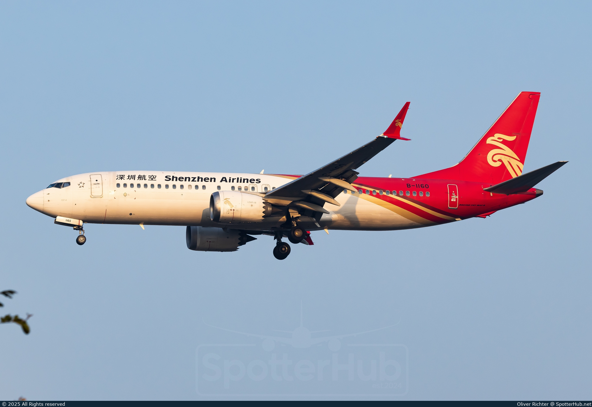 Photo of B-1160 - Boeing 737 MAX 8 operated by Shenzhen Airlines
