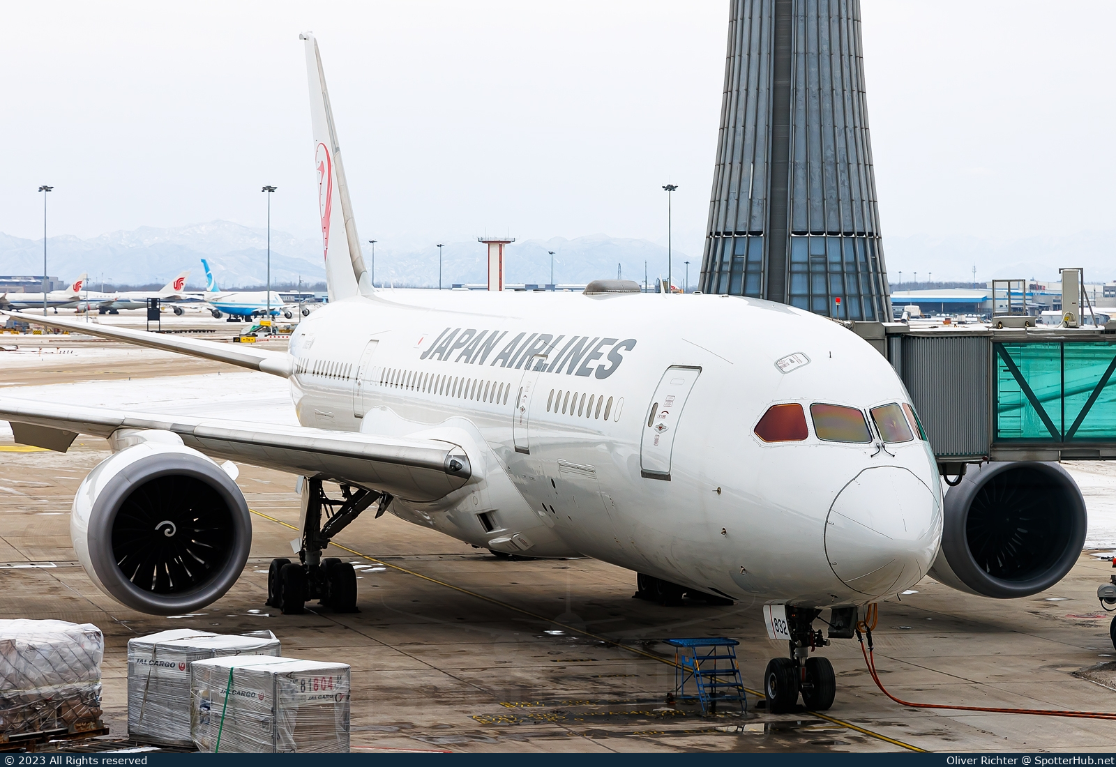 Photo of JA832J - Boeing 787-8 Dreamliner operated by Japan Airlines