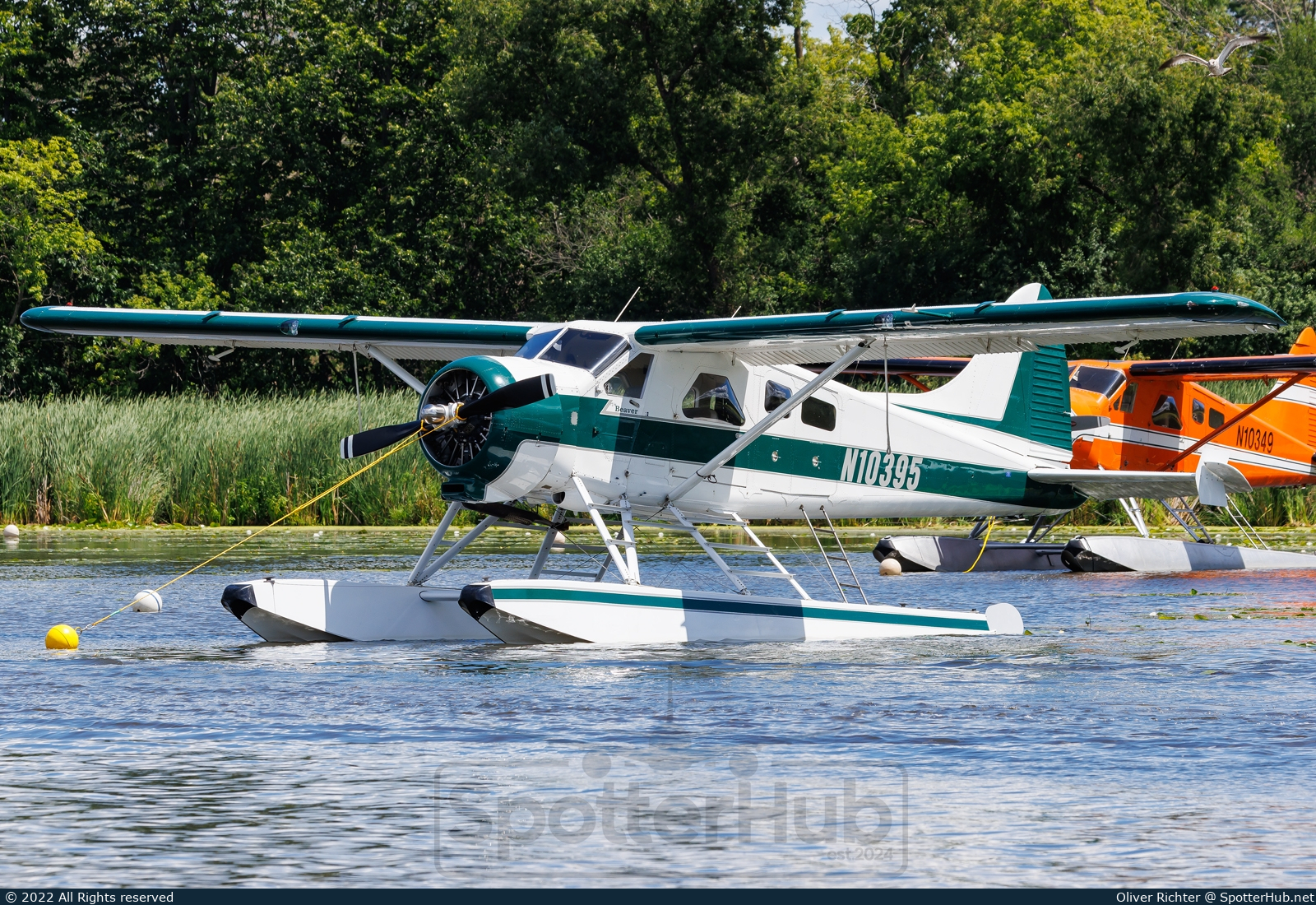 Photo of N10395 - De Havilland Canada DHC-2 Beaver operated by Private