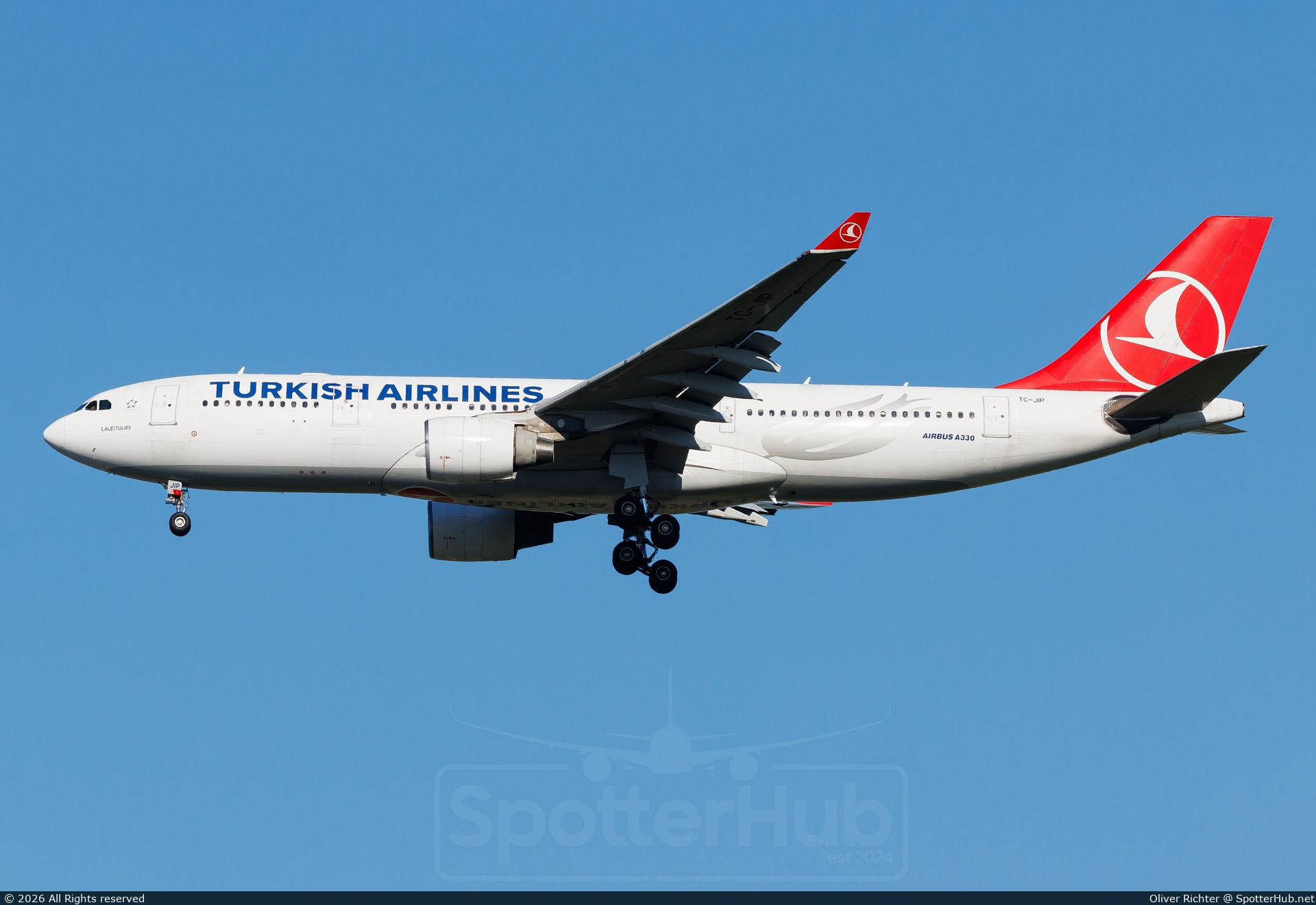 Photo of TC-JIP - Airbus A330-223 operated by Turkish Airlines