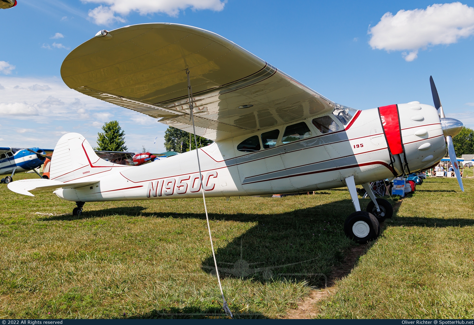 Photo of N1950C - Cessna 195B operated by Private