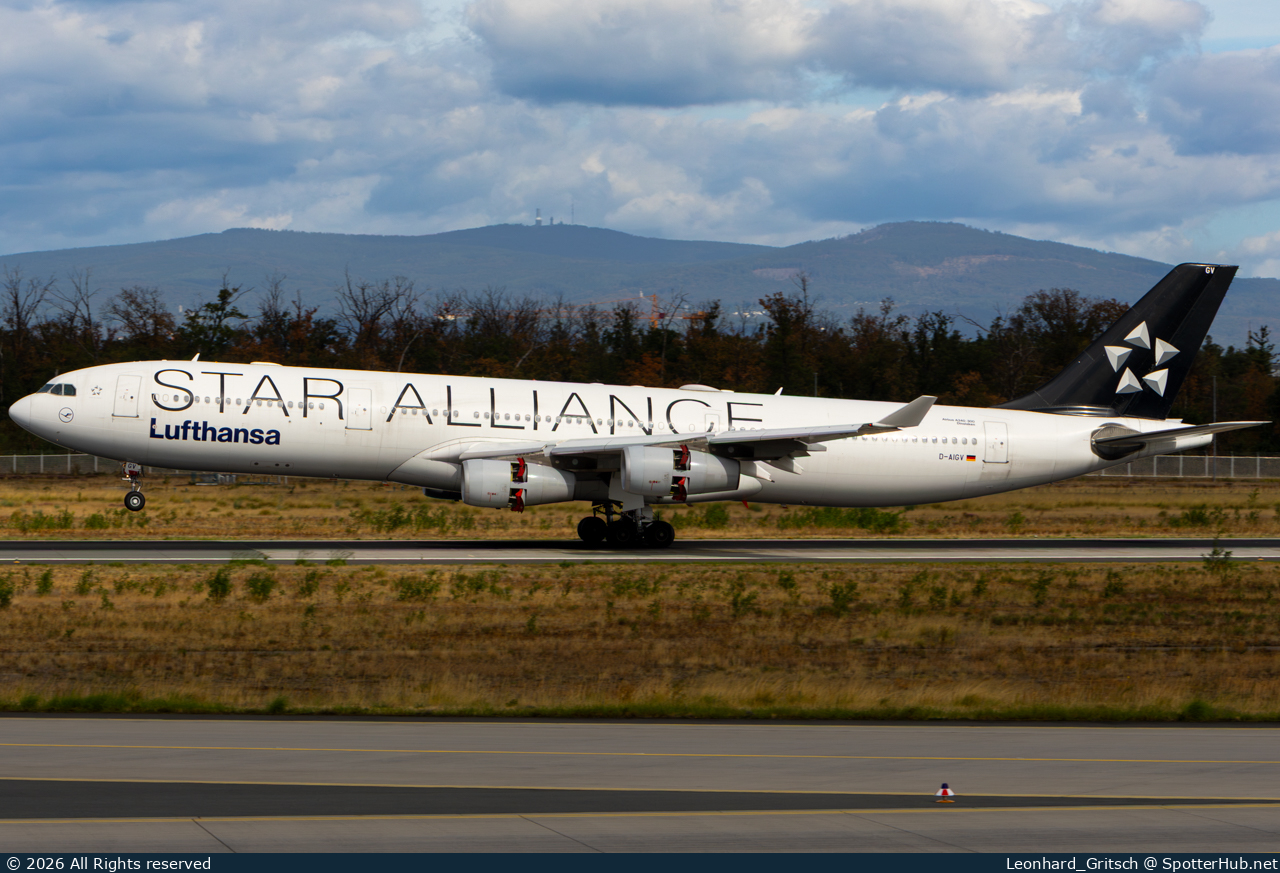 Photo of D-AIGV - Airbus A340-313 operated by Lufthansa