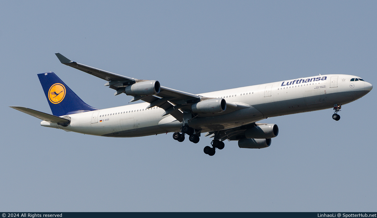 Photo of D-AIGS - Airbus A340-313 operated by Lufthansa
