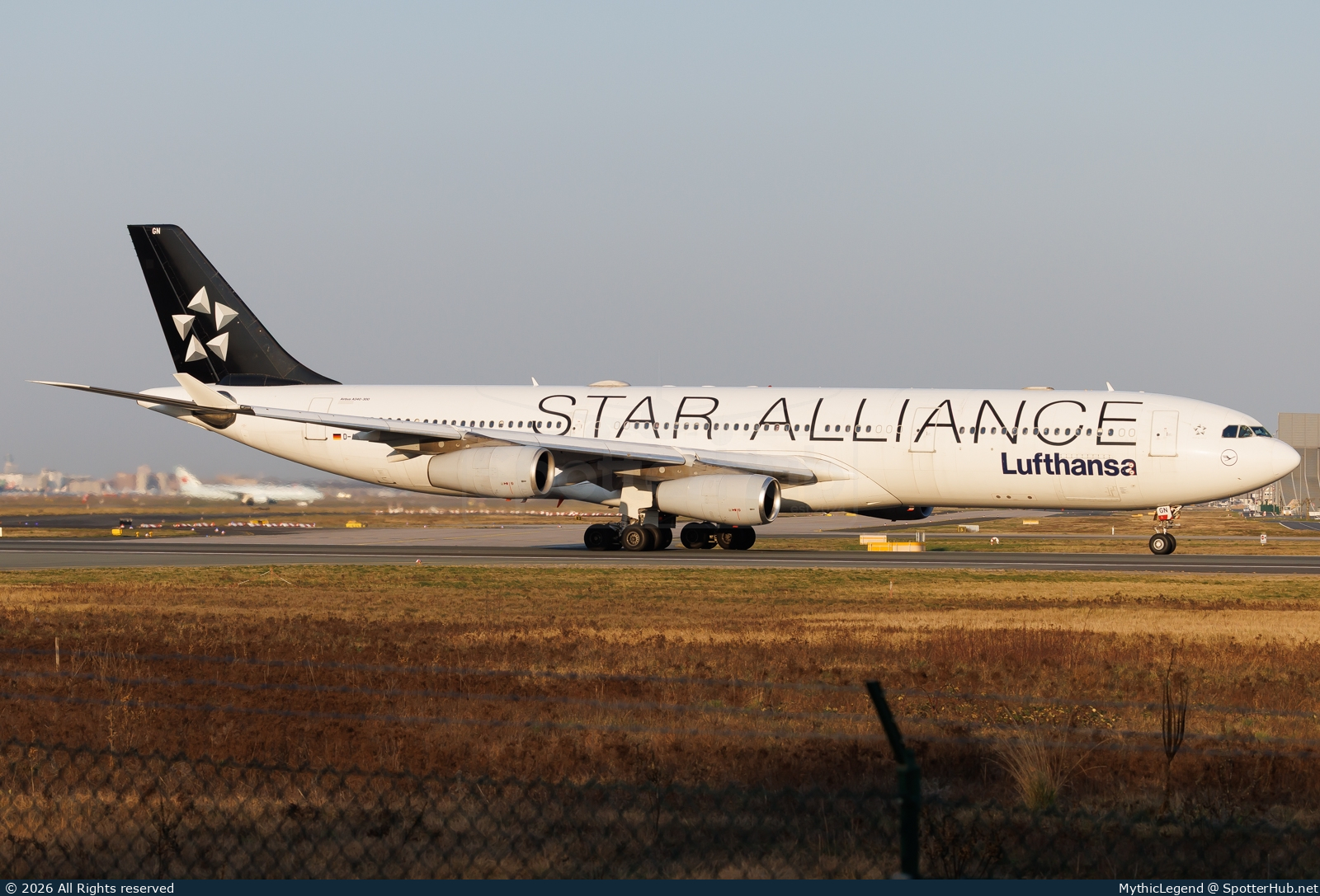Photo of D-AIGN - Airbus A340-313 operated by Lufthansa