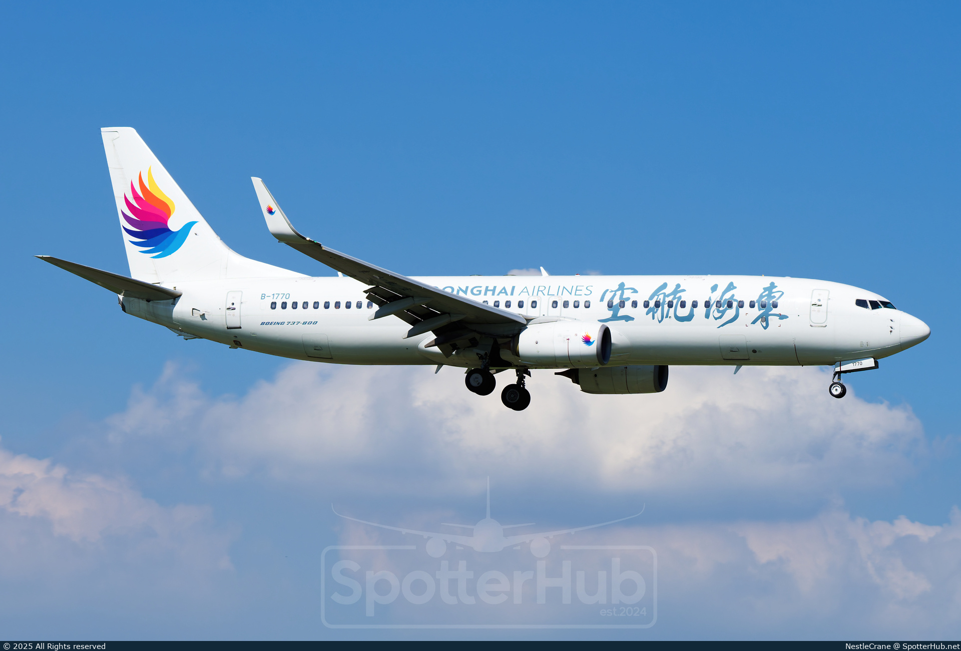 Photo of B-1770 - Boeing 737-8Q8 operated by Donghai Airlines