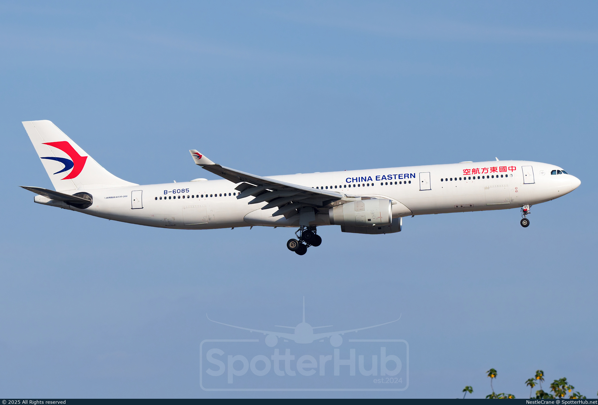 Photo of B-6085 - Airbus A330-343 operated by China Eastern Airlines