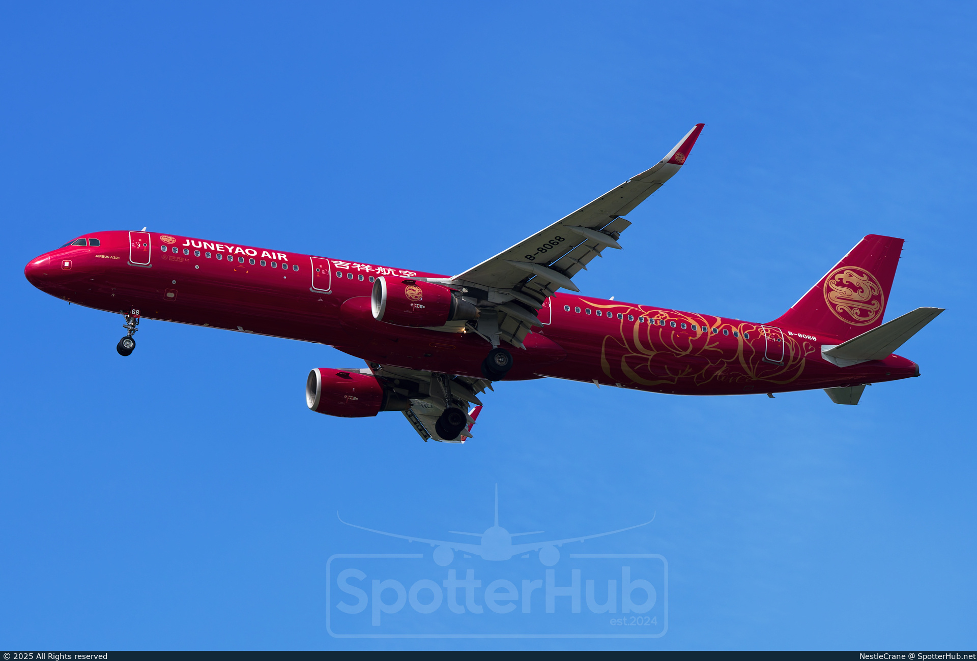 Photo of B-8068 - Airbus A321-211 operated by Juneyao Air