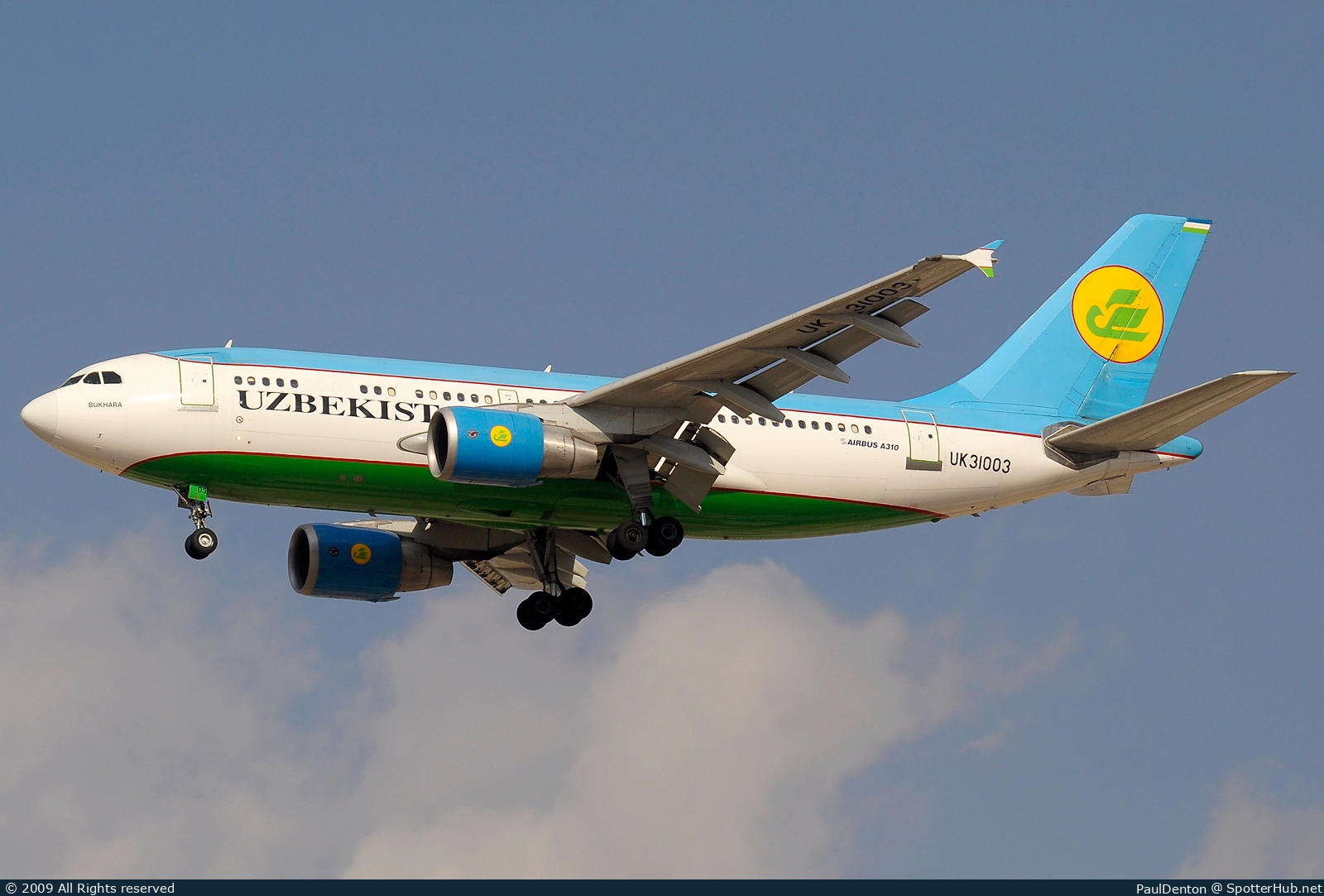 Photo of UK31003 - Airbus A310-324 operated by Uzbekistan Airways