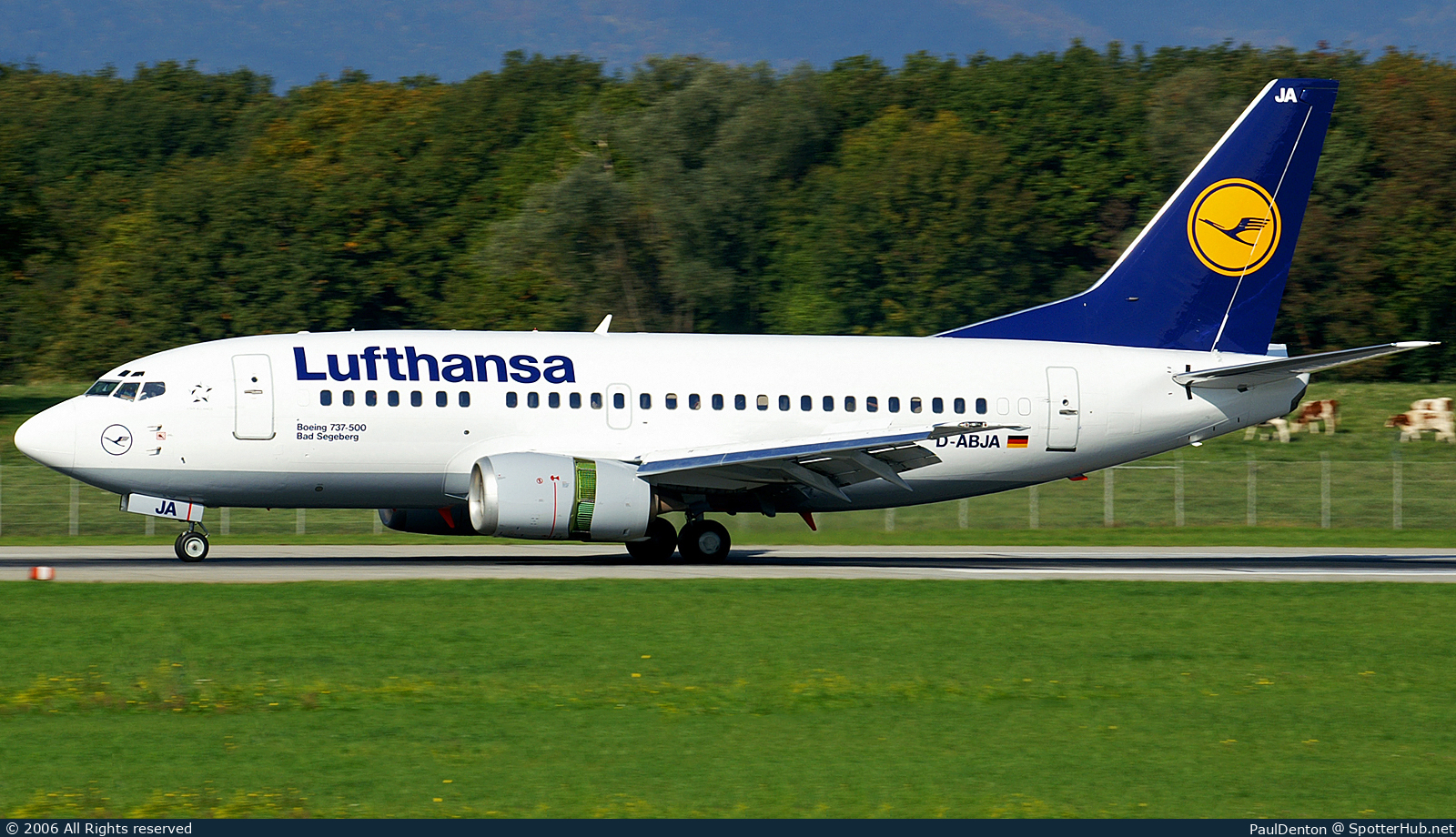 Photo of D-ABJA - Boeing 737-530 operated by Lufthansa