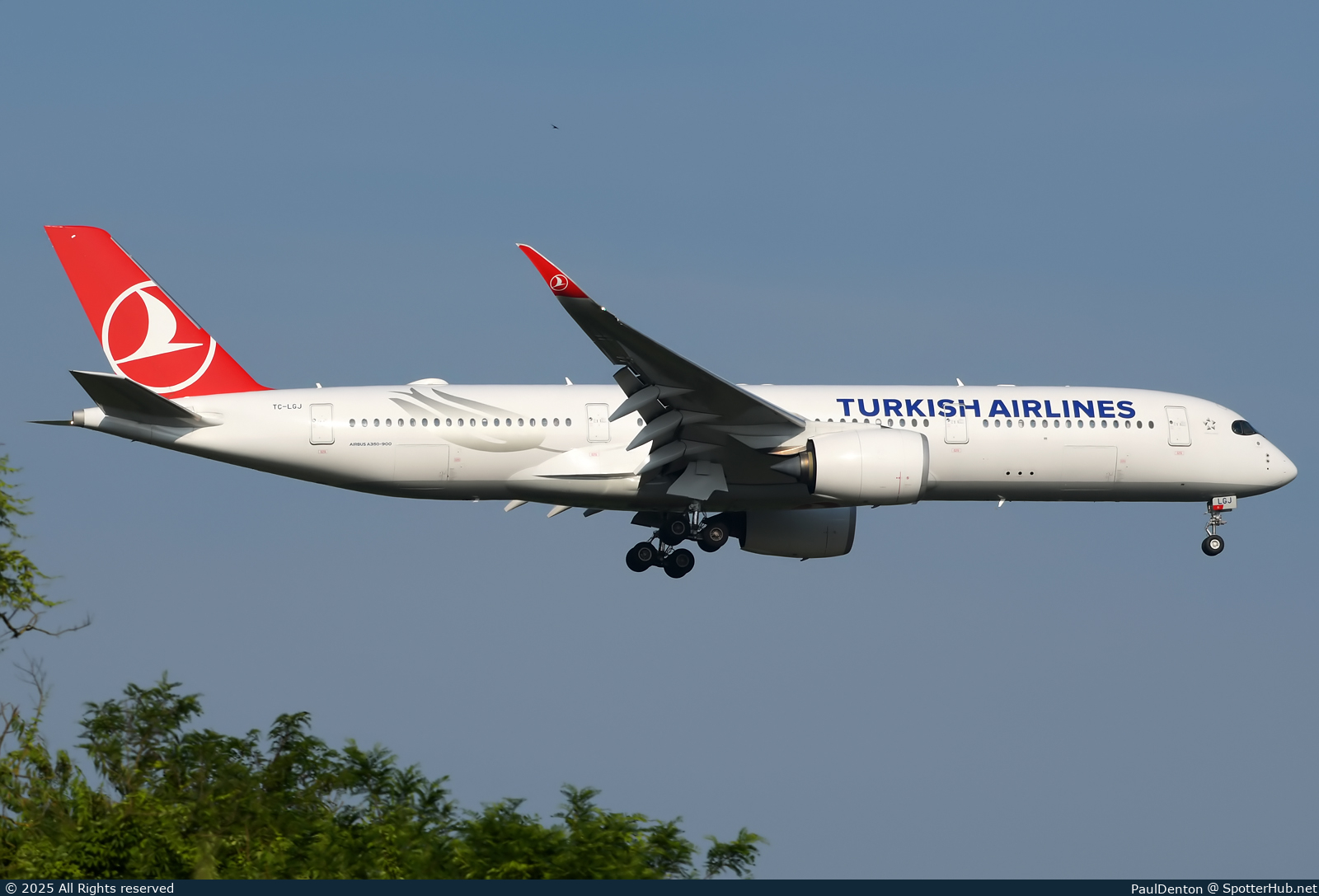 Photo of TC-LGJ - Airbus A350-941 operated by Turkish Airlines