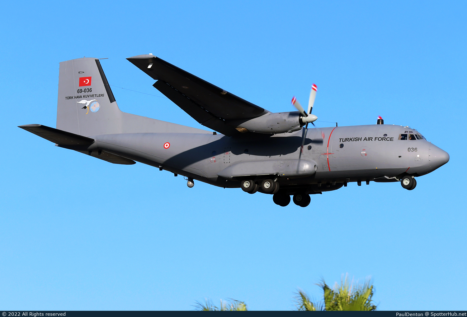 Photo of 69-036 - Transall C-160T operated by Turkish Air Force