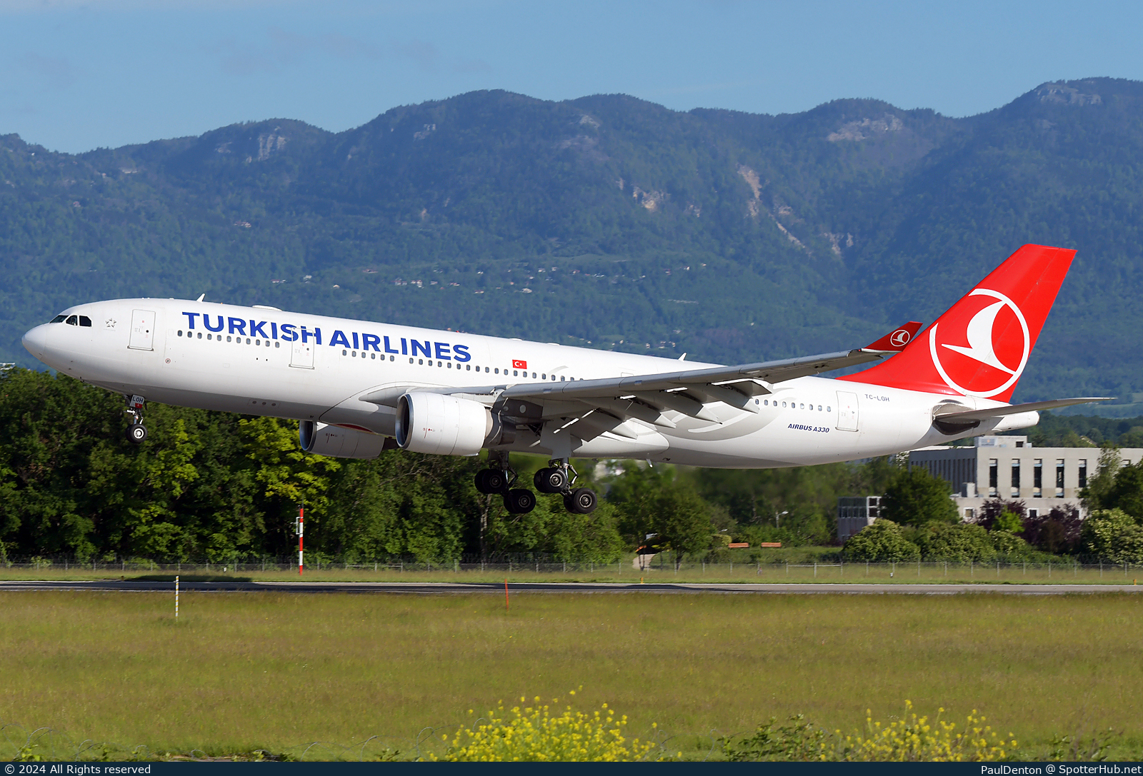 Photo of TC-LOH - Airbus A330-223 operated by Turkish Airlines