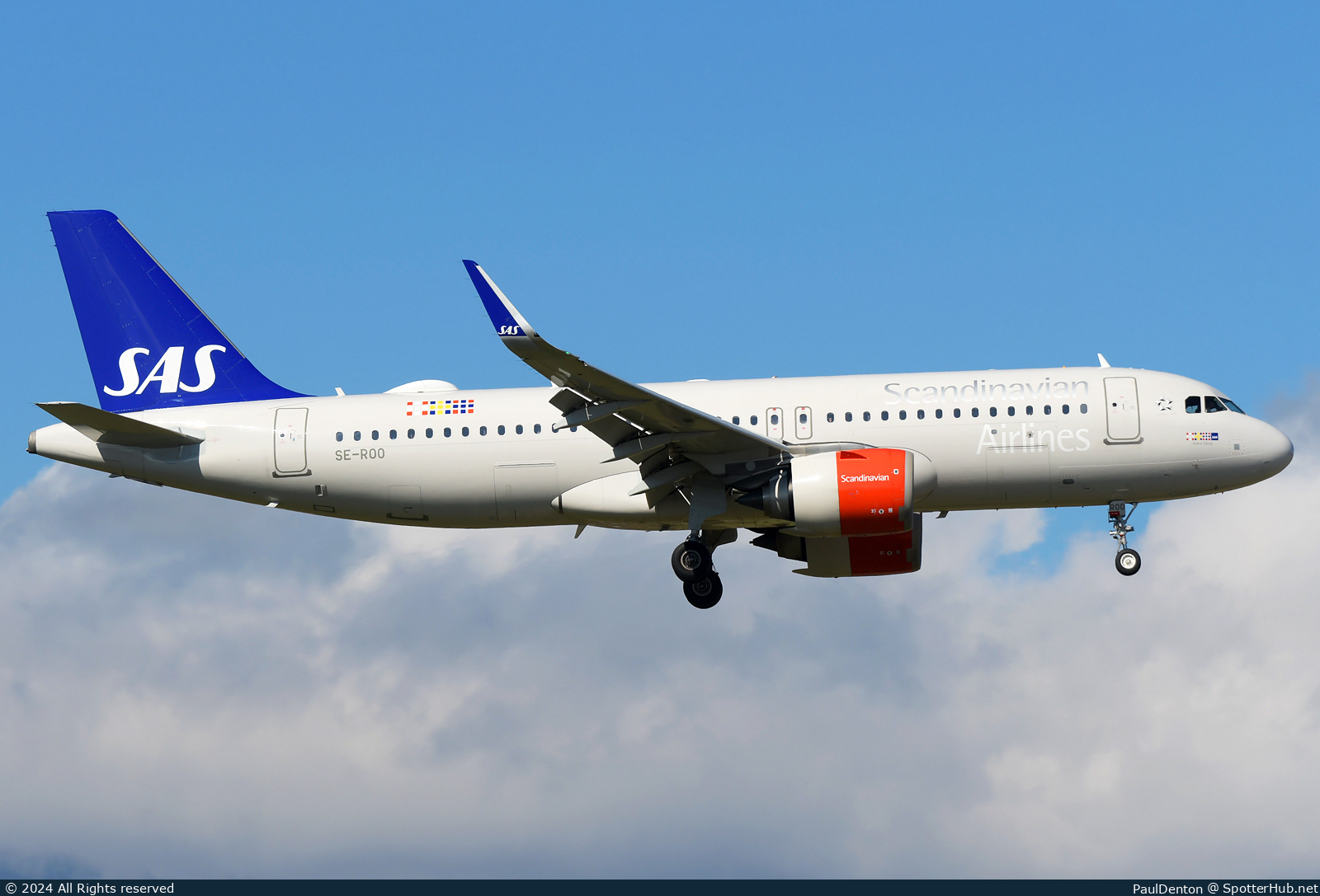 Photo of SE-ROO - Airbus A320-251N operated by SAS Scandinavian Airlines