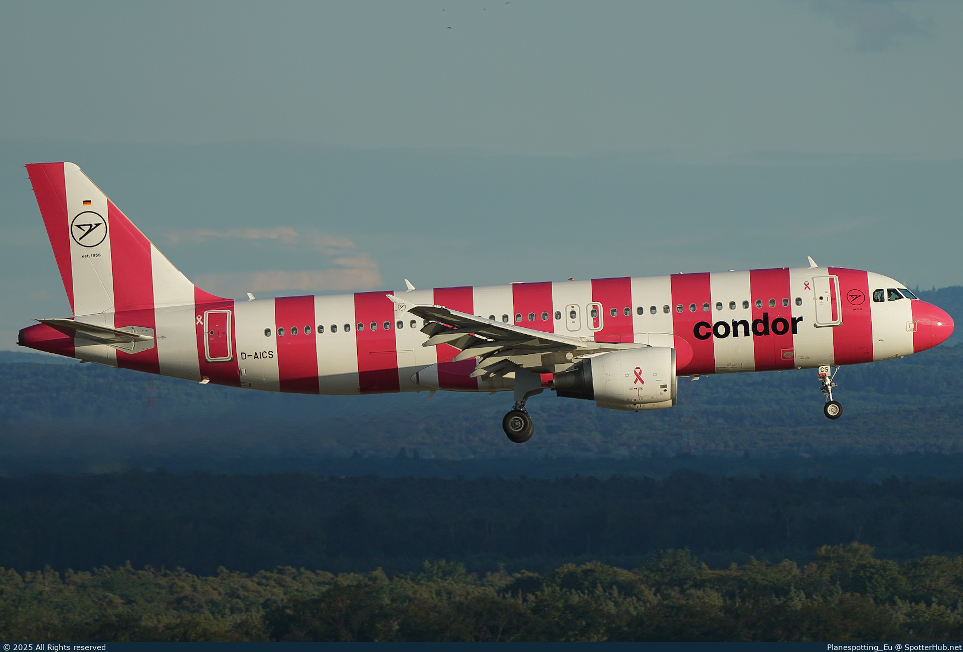 Photo of D-AICS - Airbus A320-214 operated by Condor