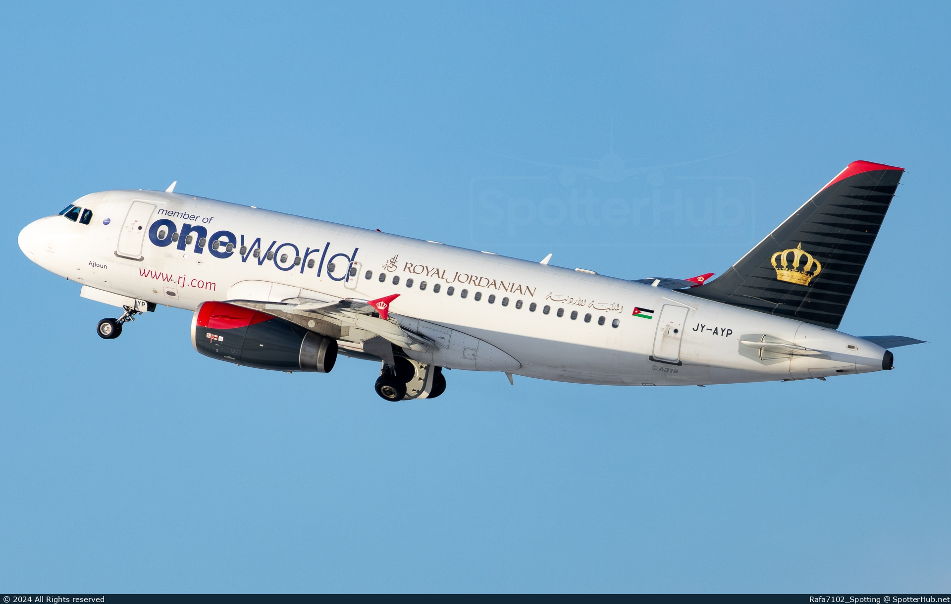 Photo of JY-AYP - Airbus A319-132 operated by Royal Jordanian Airlines