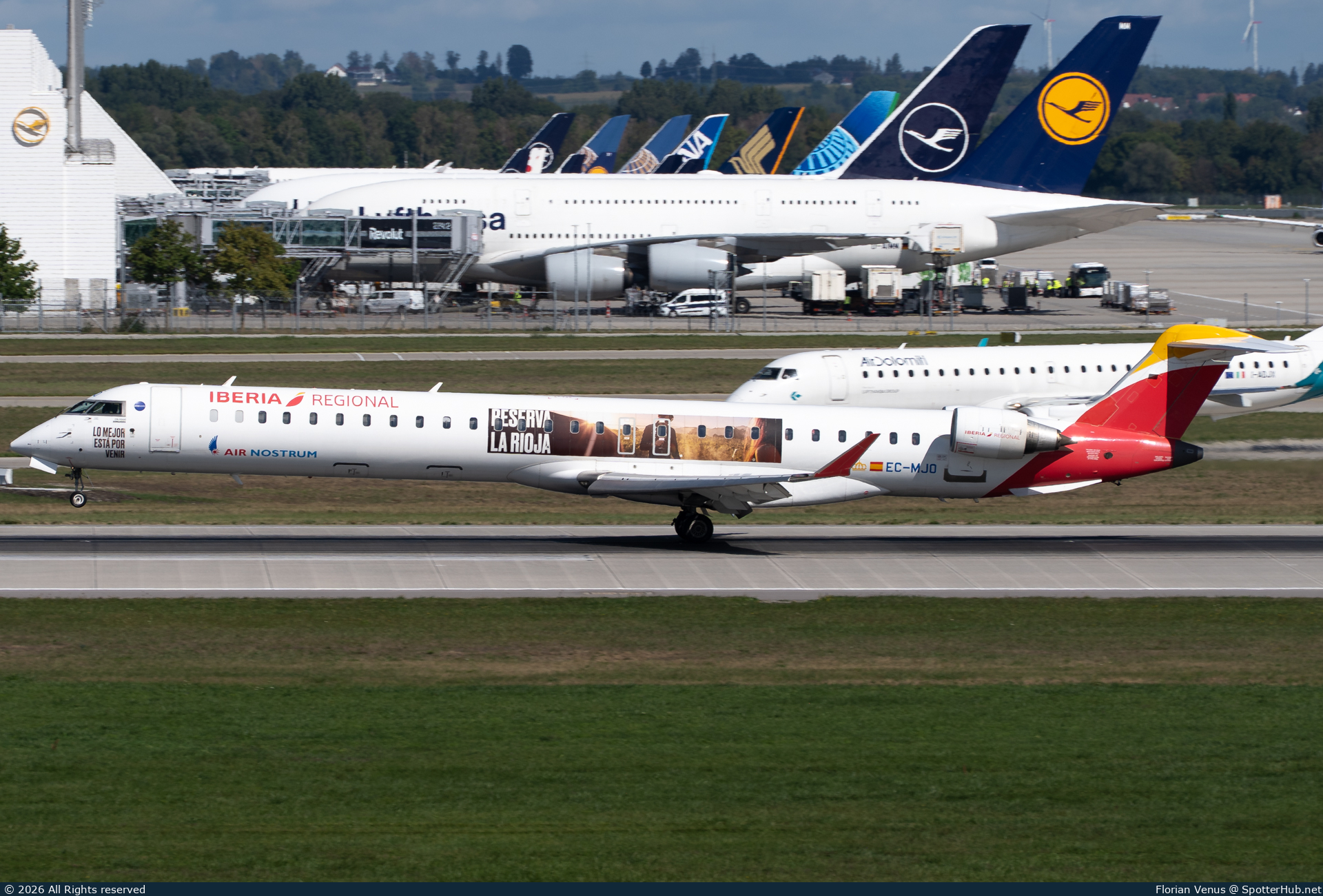 Photo of EC-MJO - Bombardier CRJ-1000 operated by Iberia Regional (opb Air Nostrum)