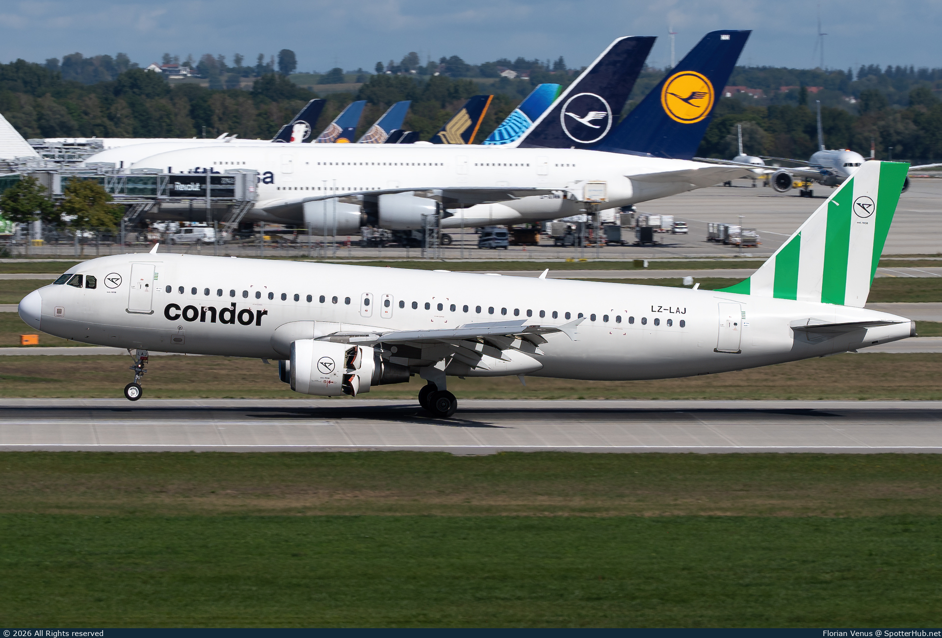 Photo of LZ-LAJ - Airbus A320-214 operated by Condor (opb European Air Charter)