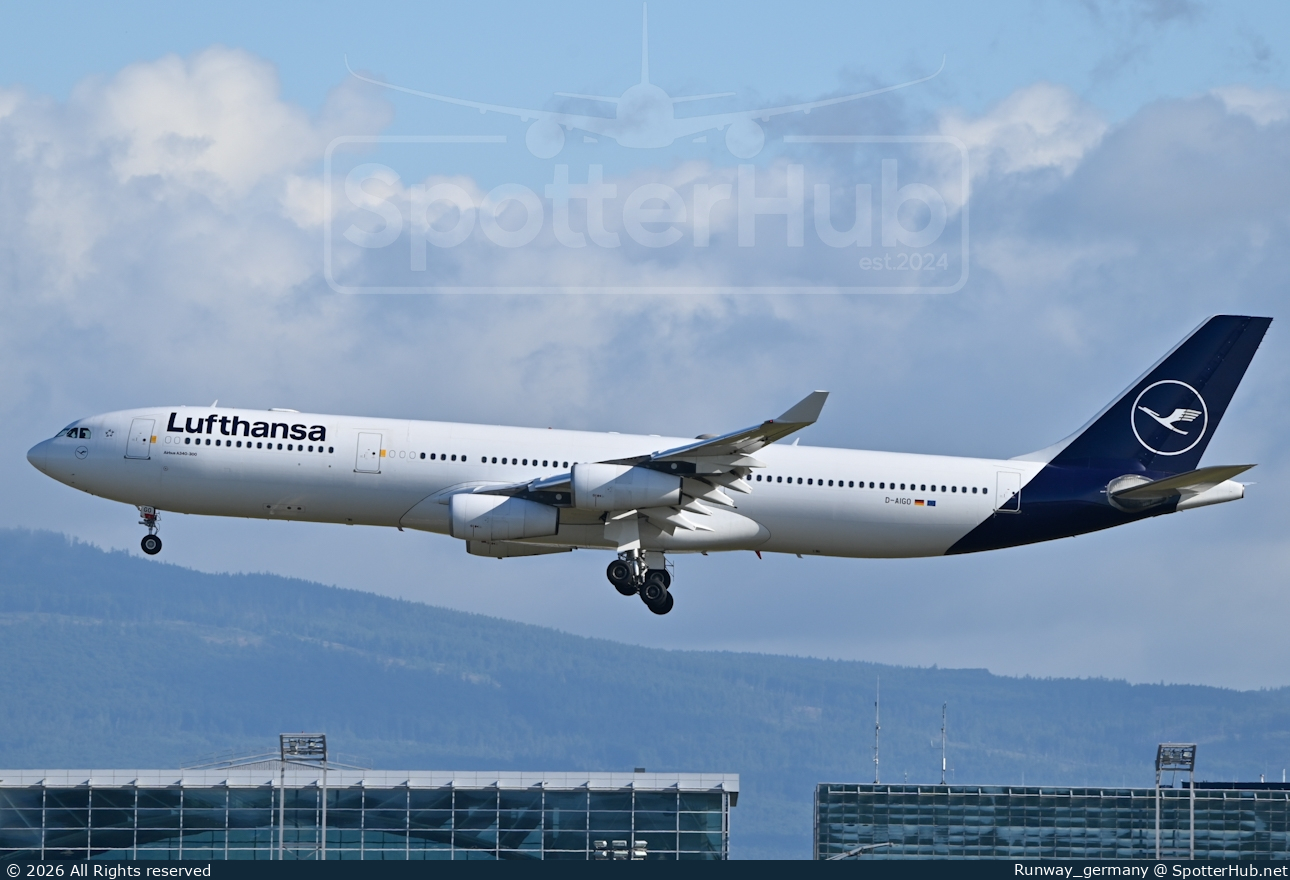 Photo of D-AIGO - Airbus A340-313 operated by Lufthansa