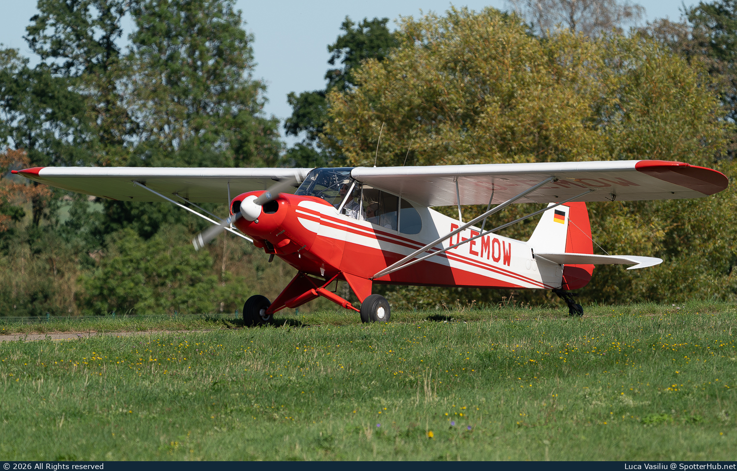 Photo of D-EMOW - Piper PA-18-95 Super Cub operated by Private