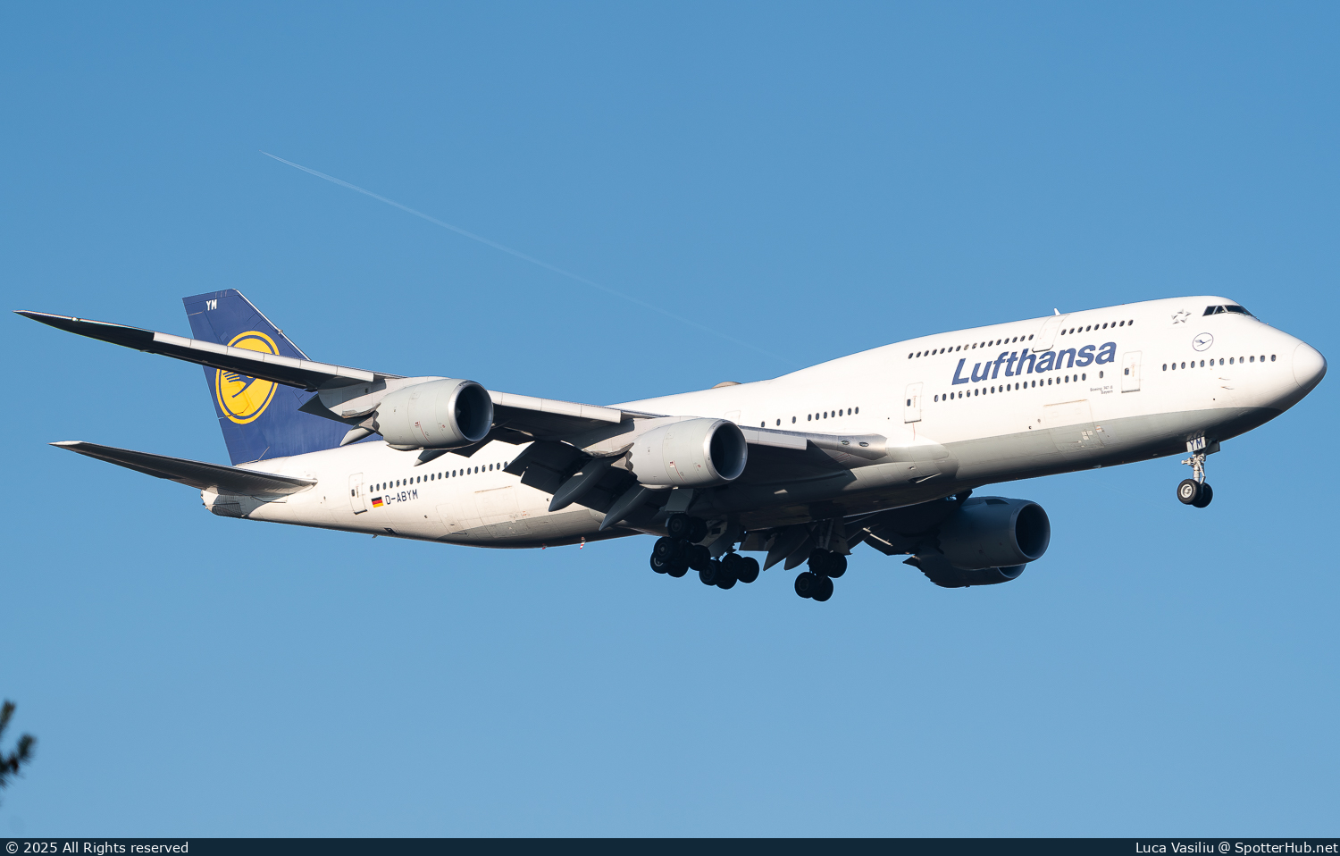 Photo of D-ABYM - Boeing 747-830 operated by Lufthansa