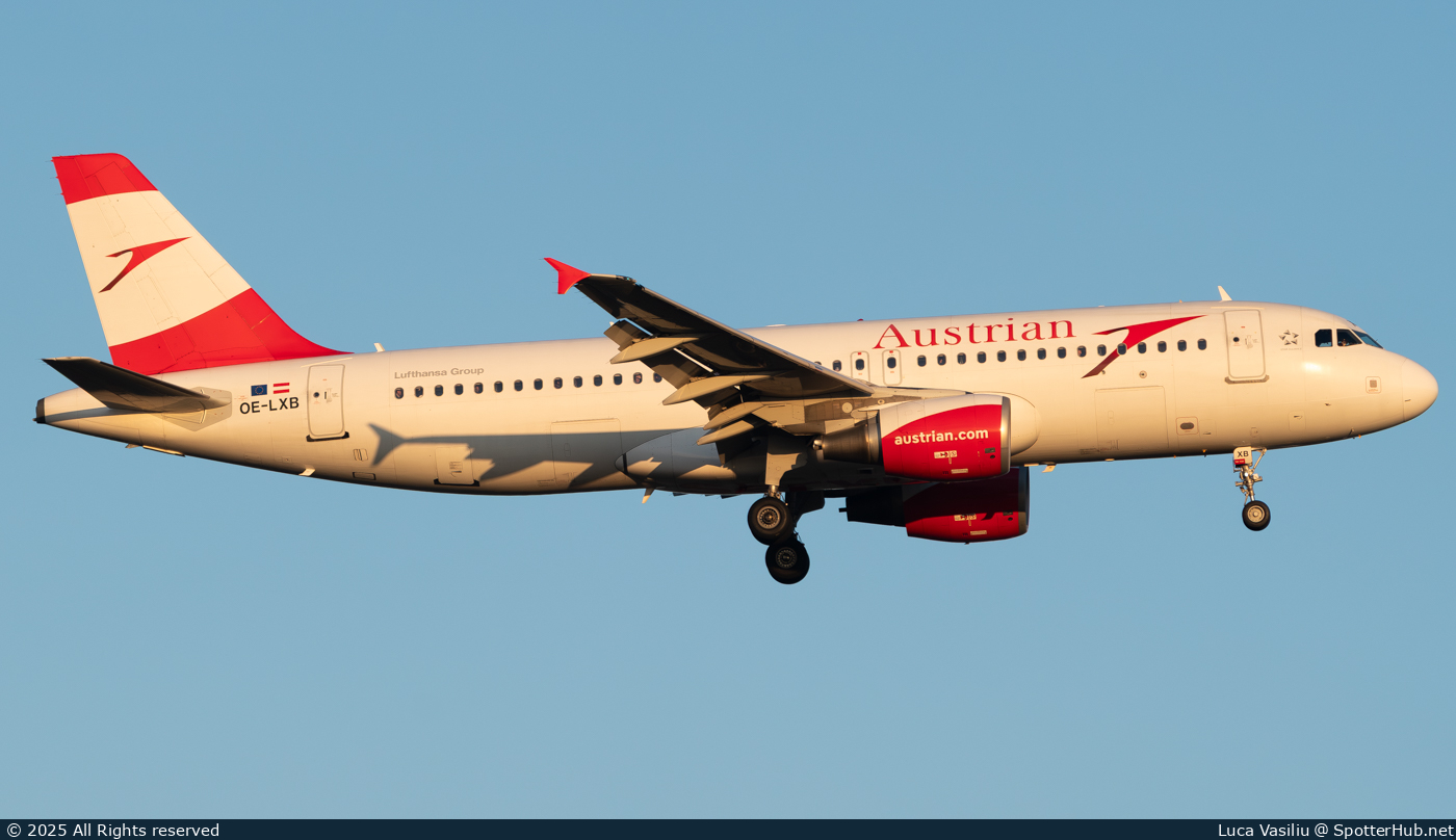Photo of OE-LXB - Airbus A320-216 operated by Austrian Airlines