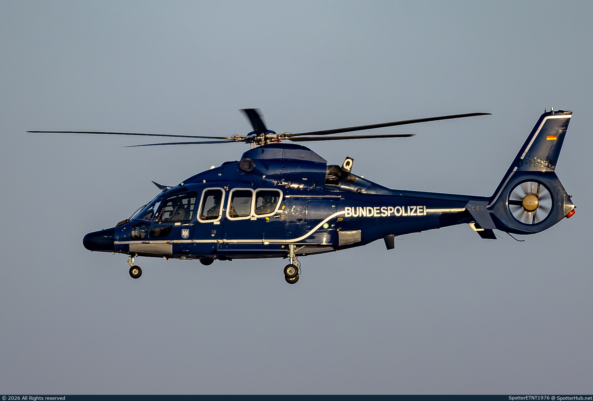 Photo of D-HLTQ - Eurocopter EC155B1 Dauphin operated by German Police - Bundespolizei