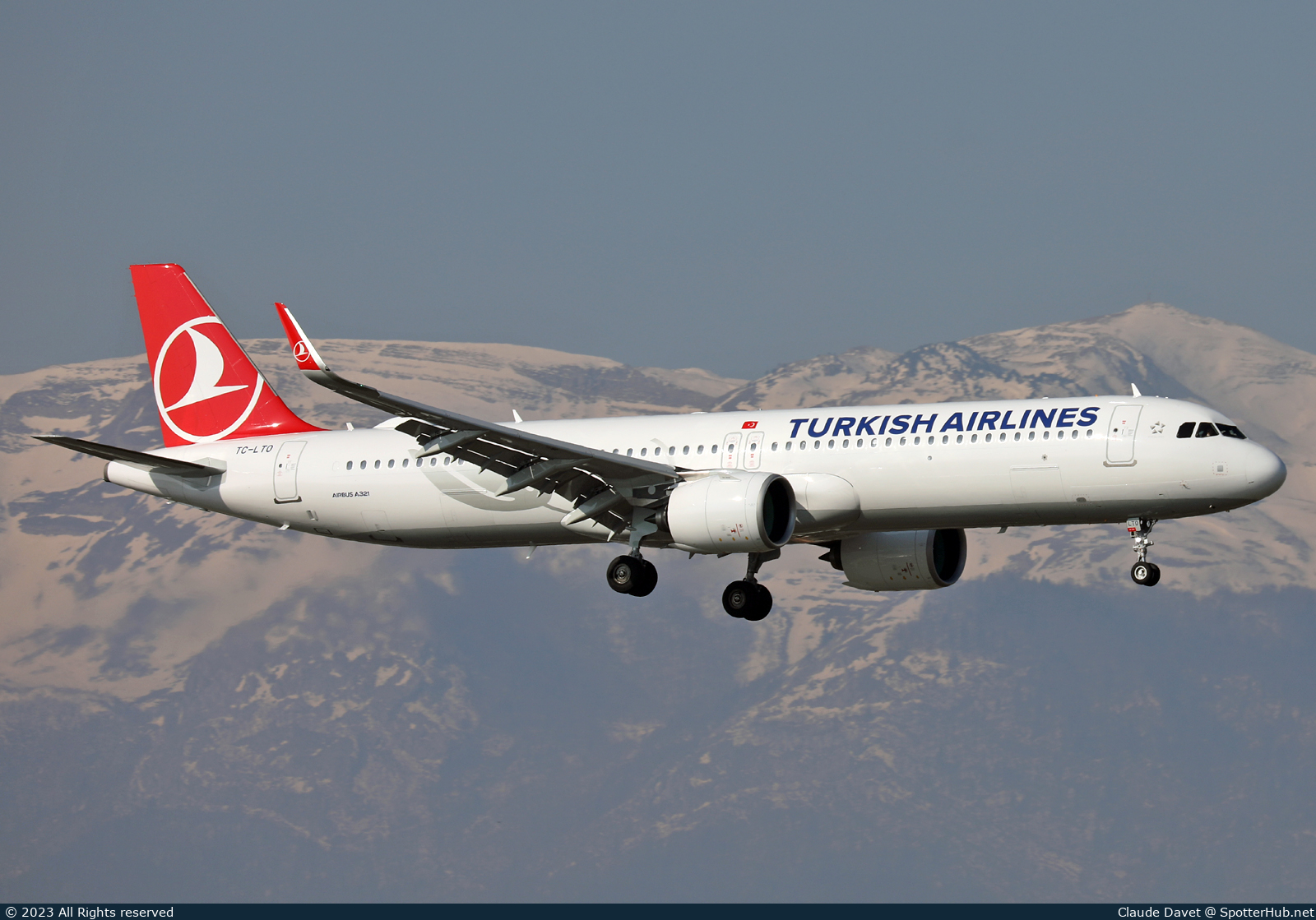 Photo of TC-LTO - Airbus A321-271NX operated by Turkish Airlines