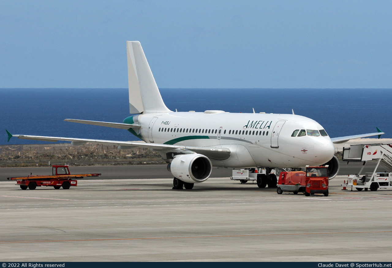 Photo of F-HDSJ - Airbus A319-112 operated by Amelia International