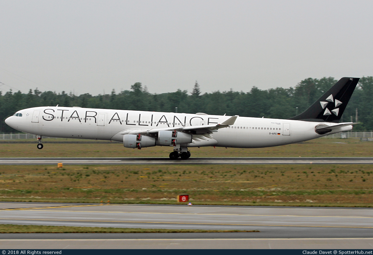 Photo of D-AIFE - Airbus A340-313 operated by Lufthansa CityLine