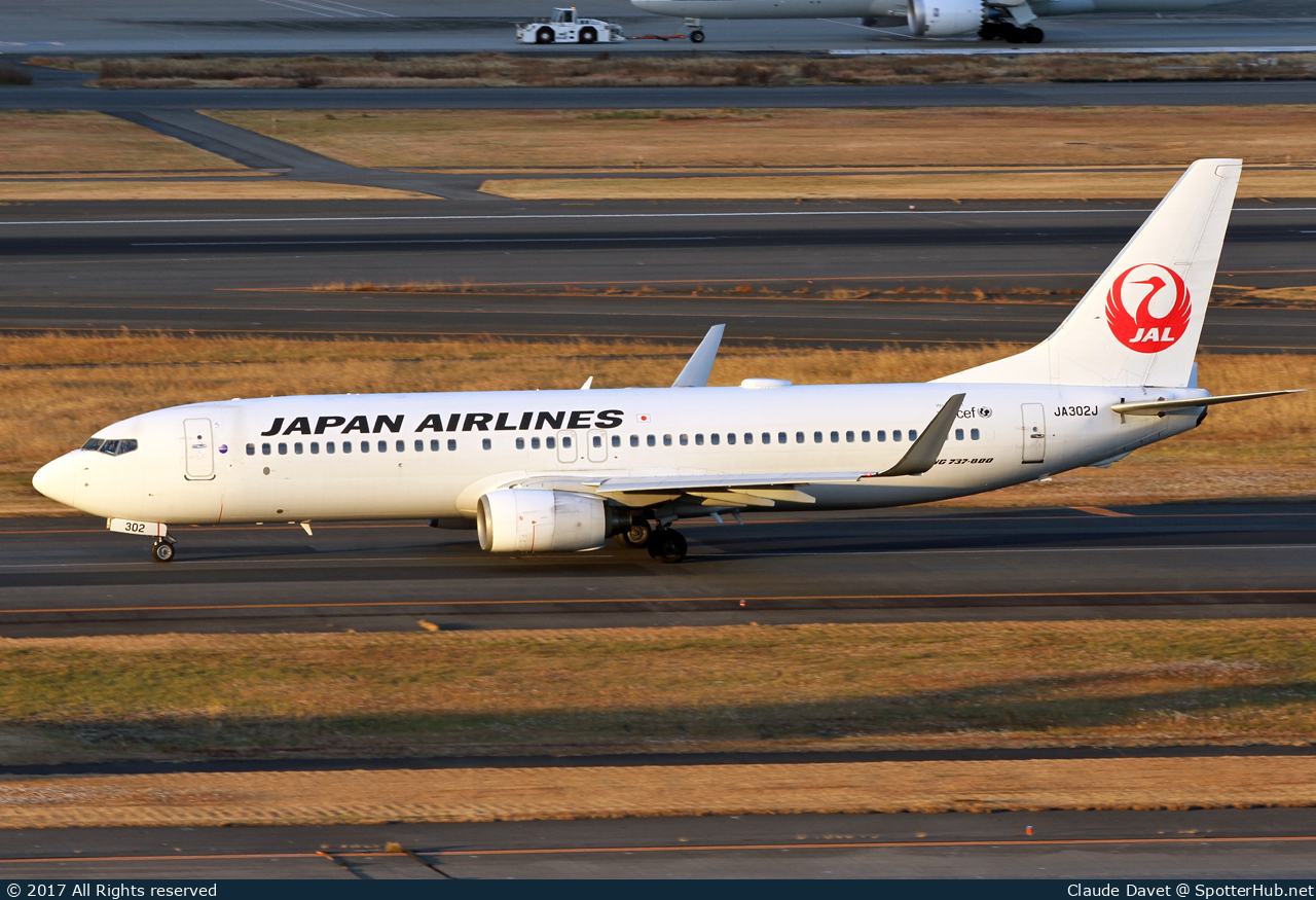 Photo of JA302J - Boeing 737-846 operated by Japan Airlines