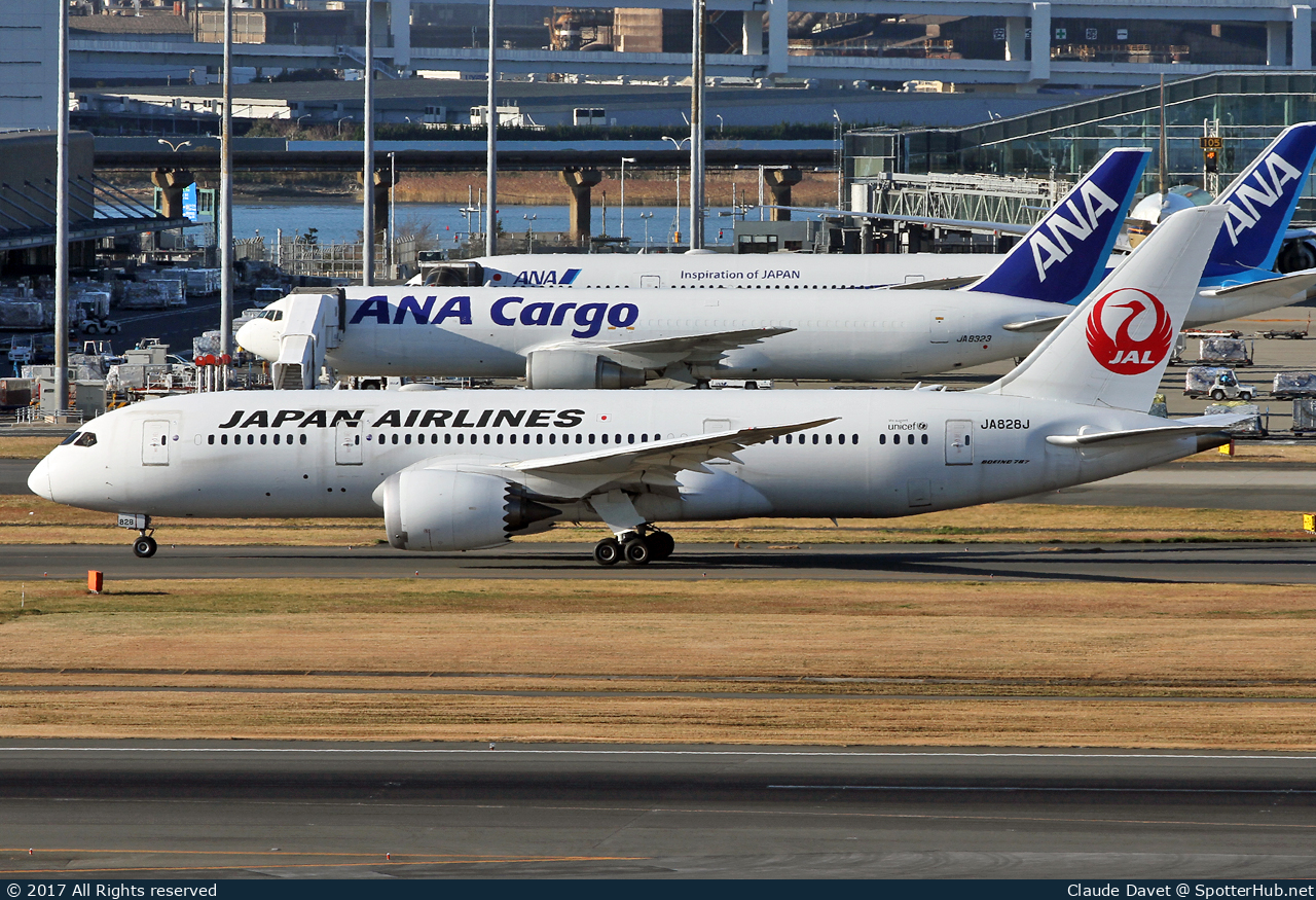 Photo of JA828J - Boeing 787-8 Dreamliner operated by Japan Airlines