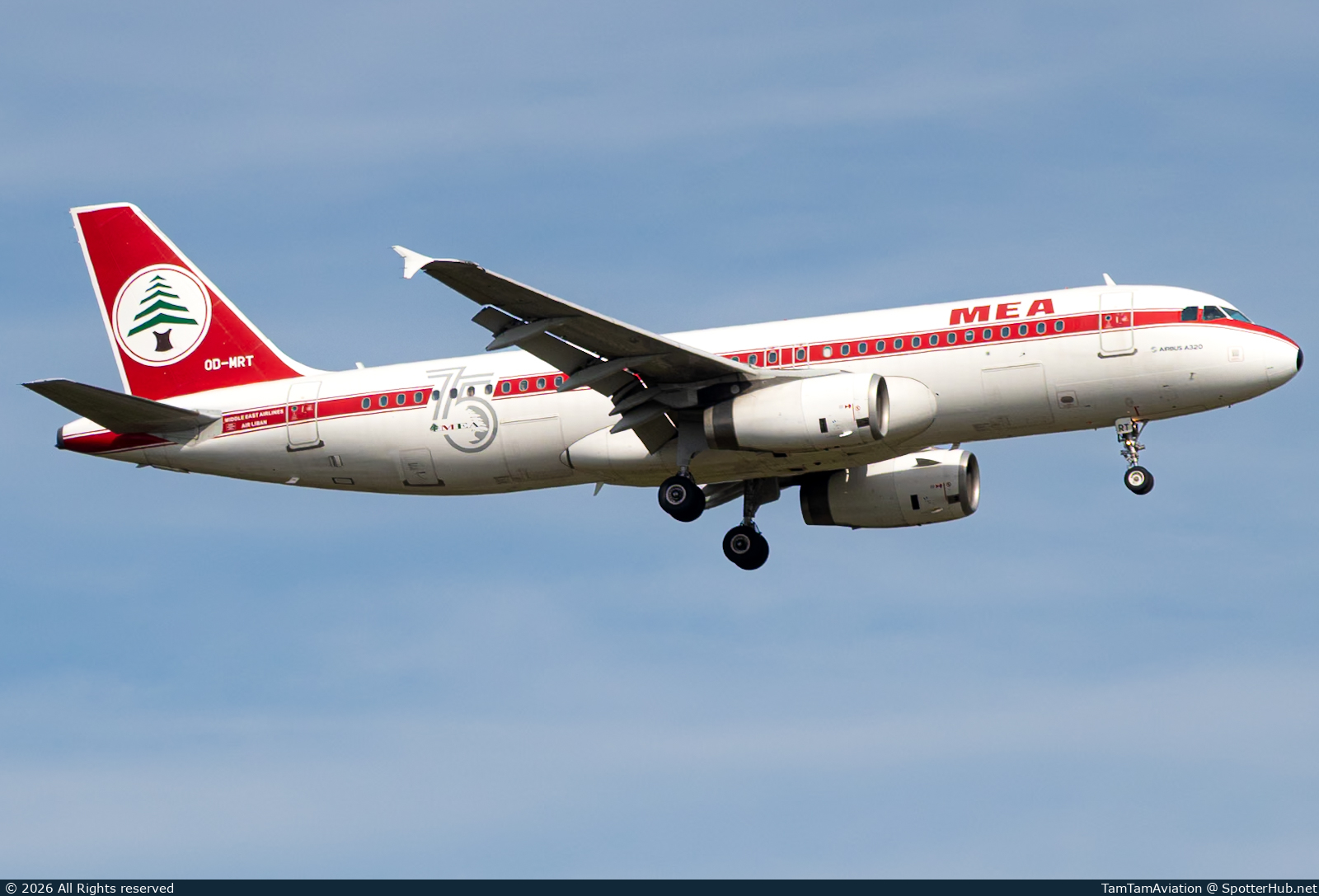 Photo of OD-MRT - Airbus A320-232 operated by MEA Middle East Airlines