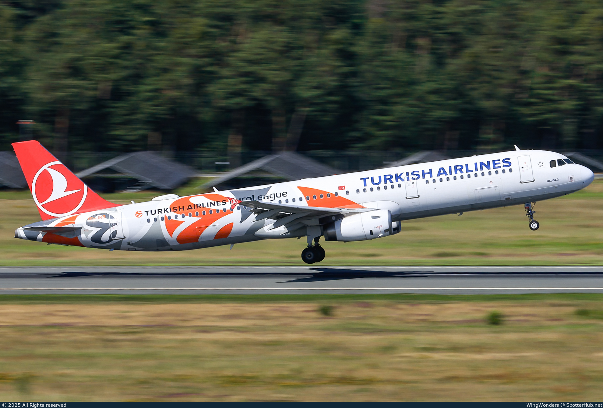 Photo of TC-JRO - Airbus A321-231 operated by Turkish Airlines