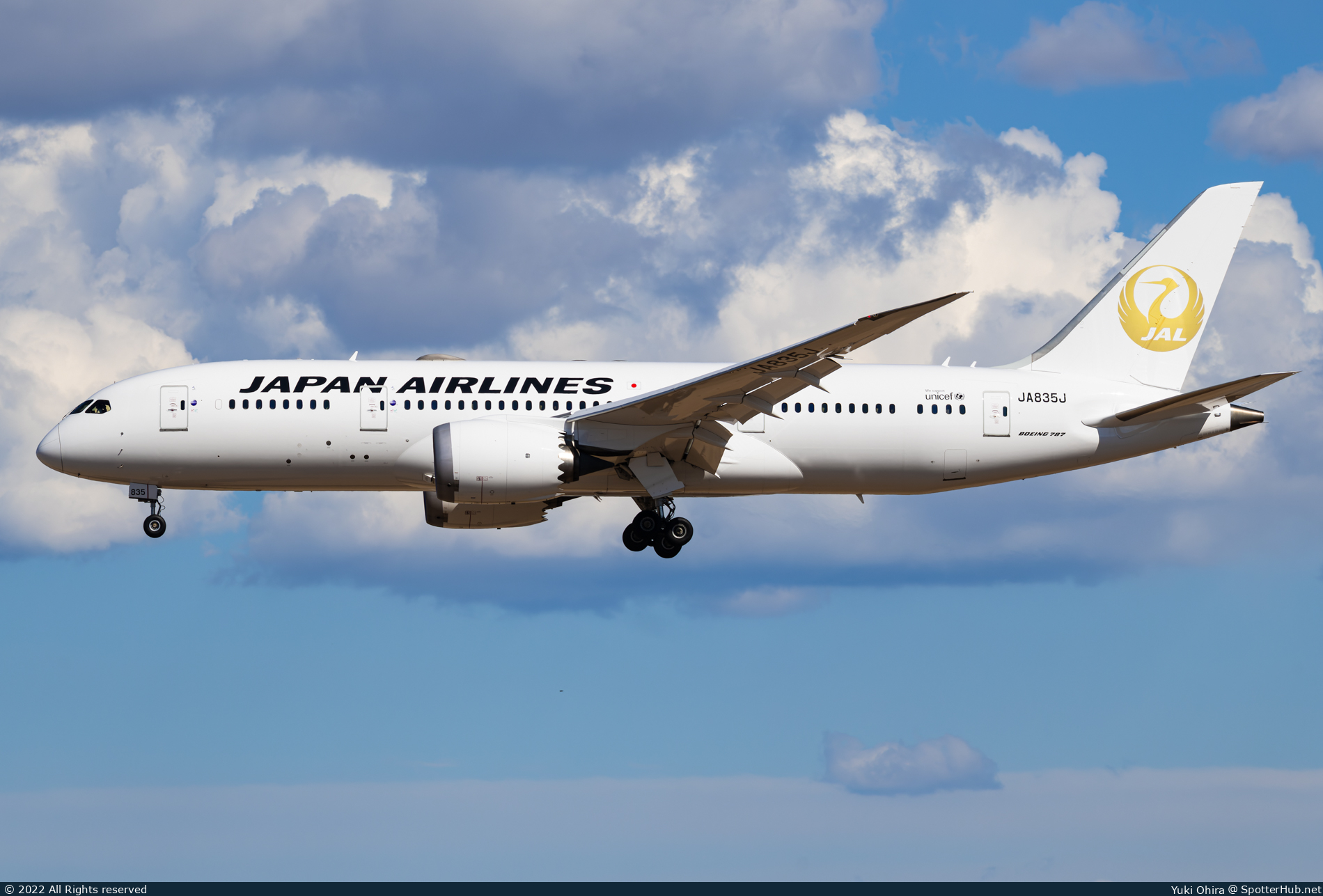 Photo of JA835J - Boeing 787-8 Dreamliner operated by Japan Airlines