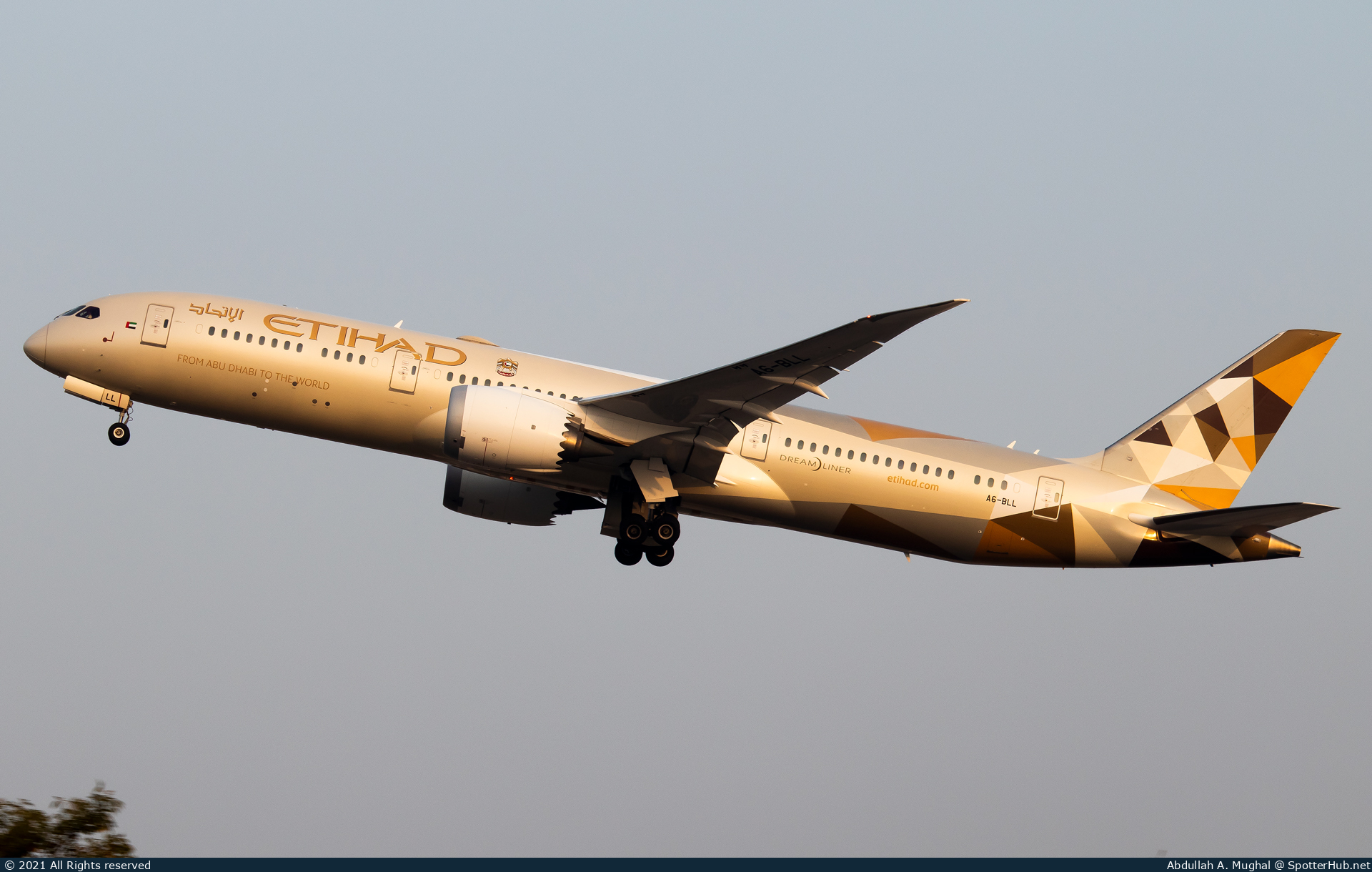 Photo of A6-BLL - Boeing 787-9 Dreamliner operated by Etihad Airways