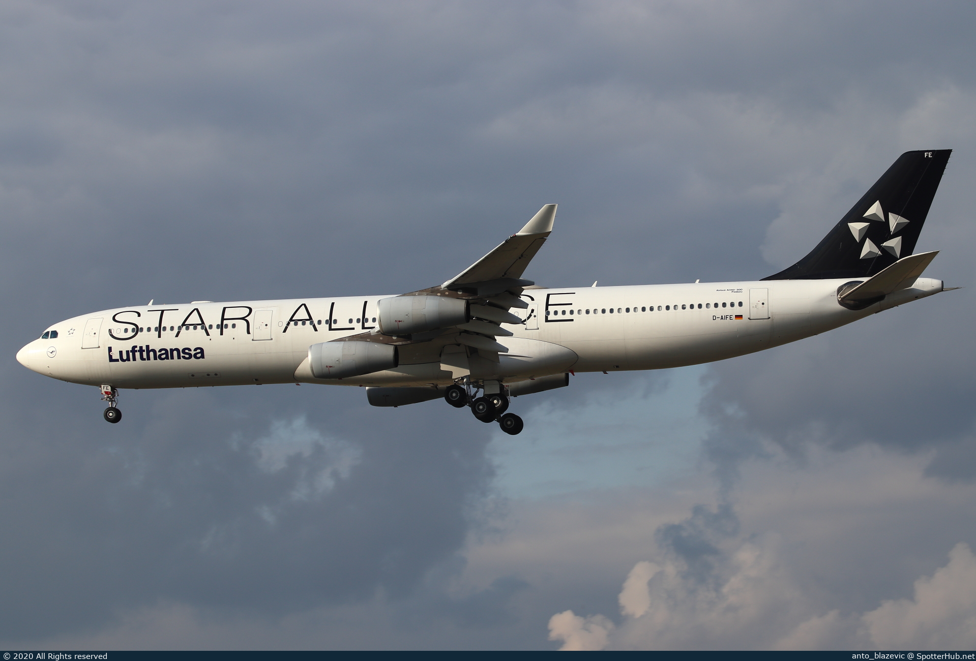 Photo of D-AIFE - Airbus A340-313 operated by Lufthansa