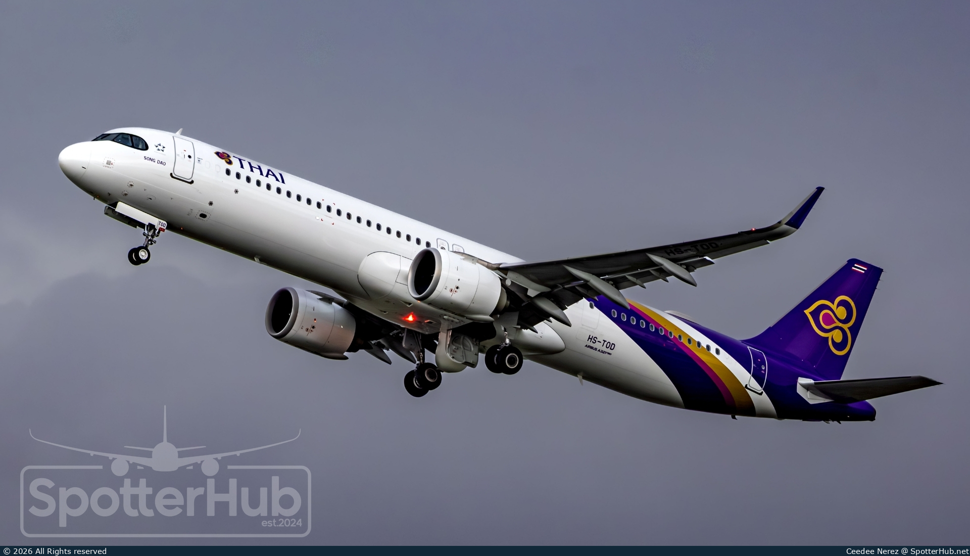 Photo of HS-TOD - Airbus A321-251NX operated by Thai Airways International