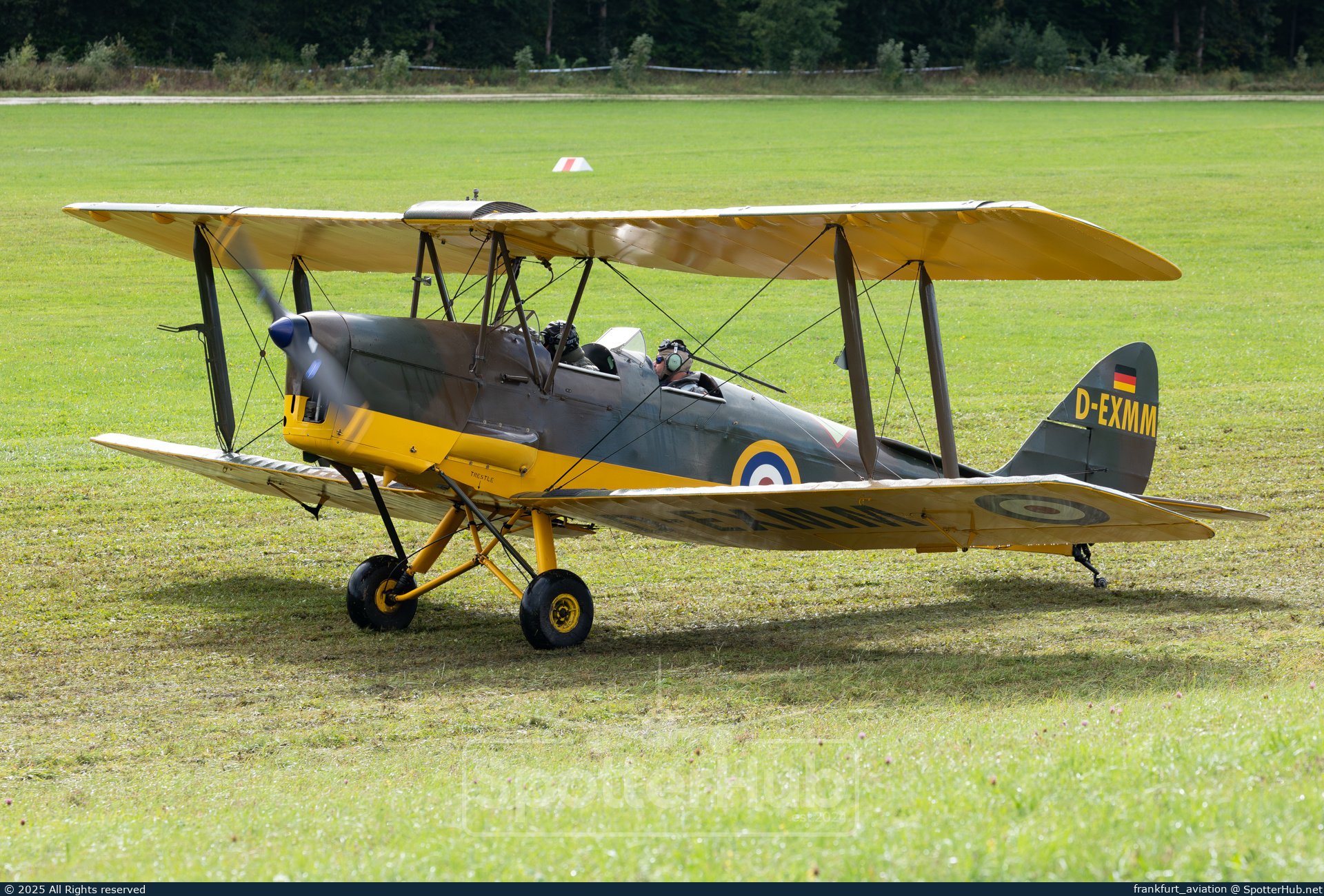 Photo of D-EXMM - De Havilland DH-82A Tiger Moth II operated by Private