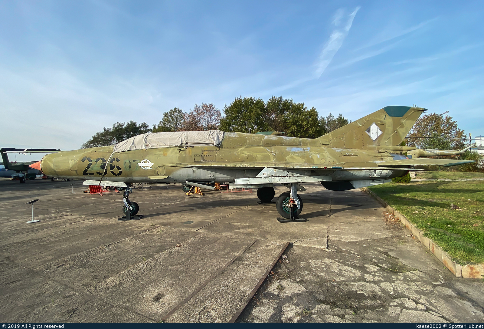 Full size image