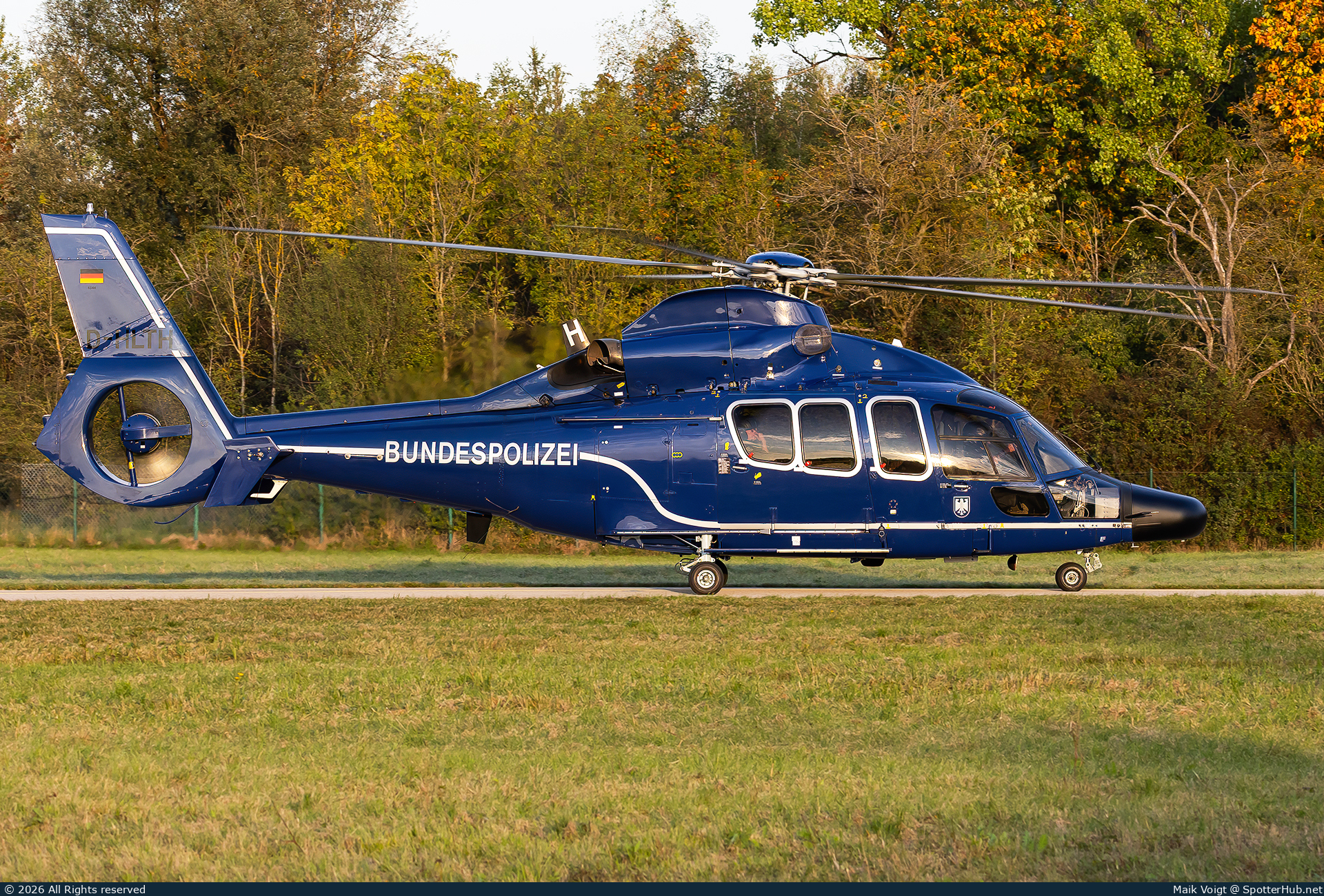 Photo of D-HLTH - Eurocopter EC155B Dauphin operated by German Police - Bundespolizei